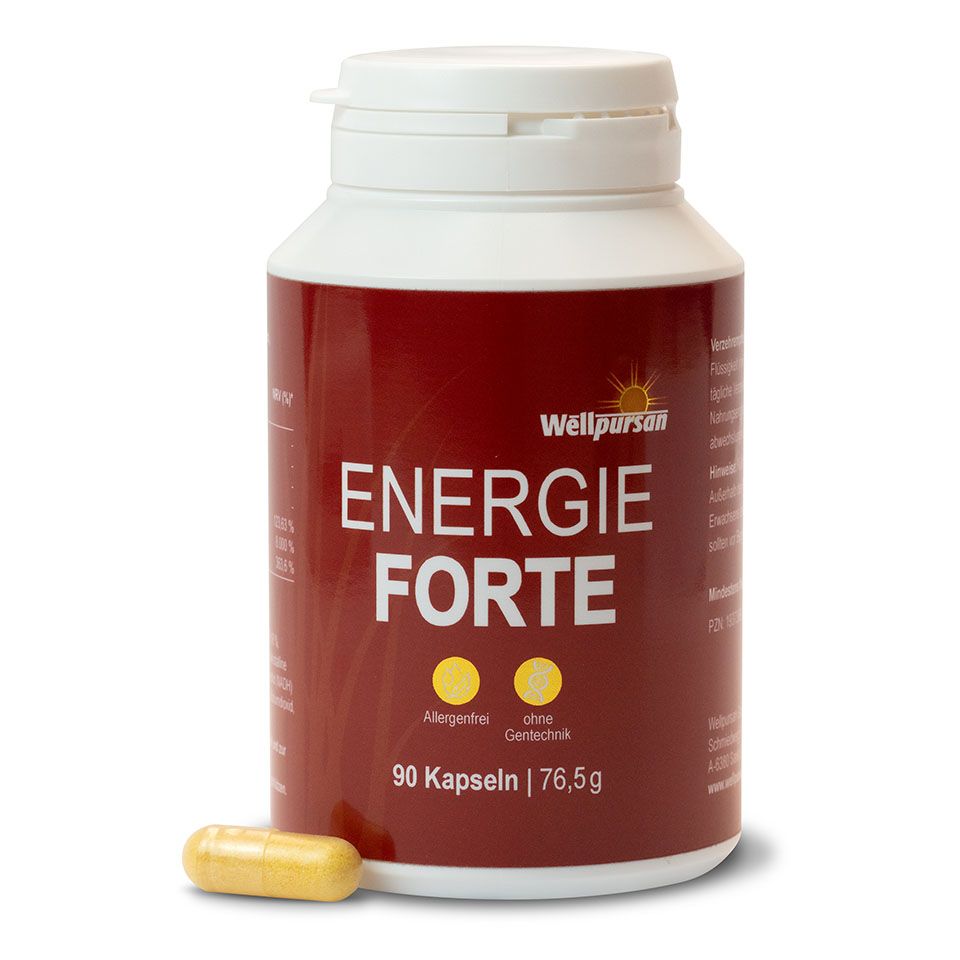 Wellpursan Energie forte