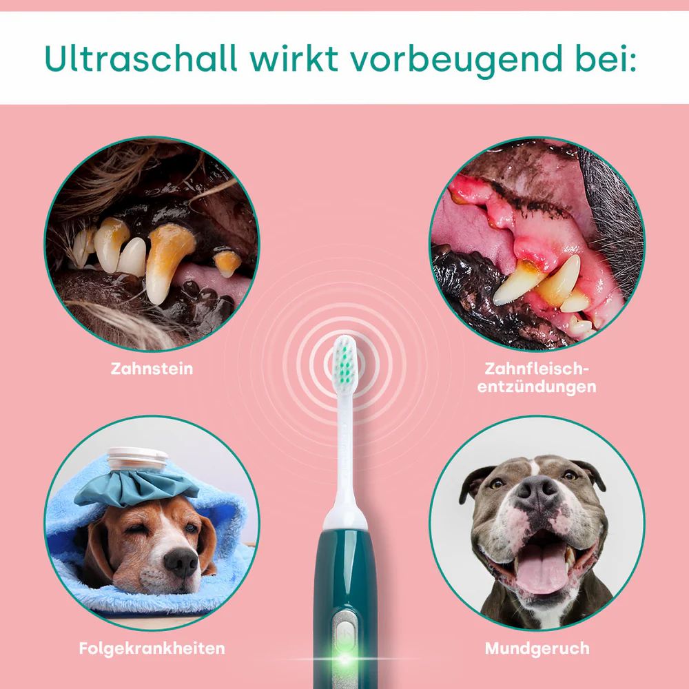 Grafik mit Kreisen und Bildern von Hunden mit Zahnstein, Zahnfleischentzündung, Folgekrankheiten und Mundgeruch. emmi-pet Zahnbürste.