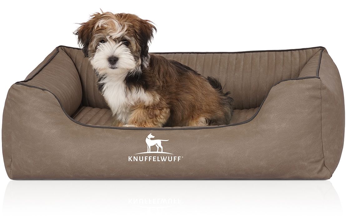 Hundebett Columbia, braun, mit Hund. Logo sichtbar. Kleiner Hund sitzt im Bett. Rechteckige Form mit erhöhten Seiten.