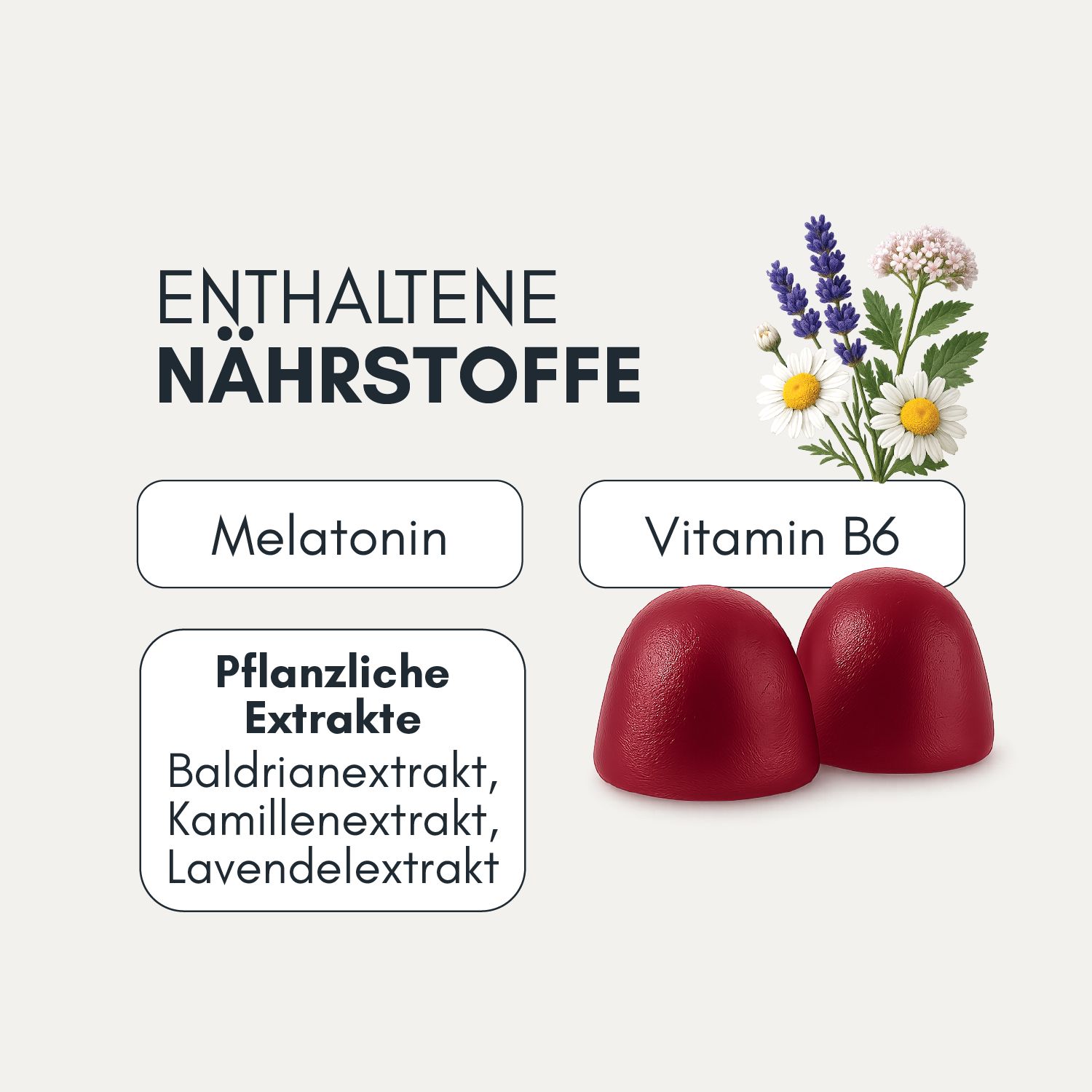 Zwei rote, runde Gummies neben Informationen zu Inhaltsstoffen: Melatonin, Vitamin B6, pflanzliche Extrakte (Baldrian, Kamille, Lavendel).