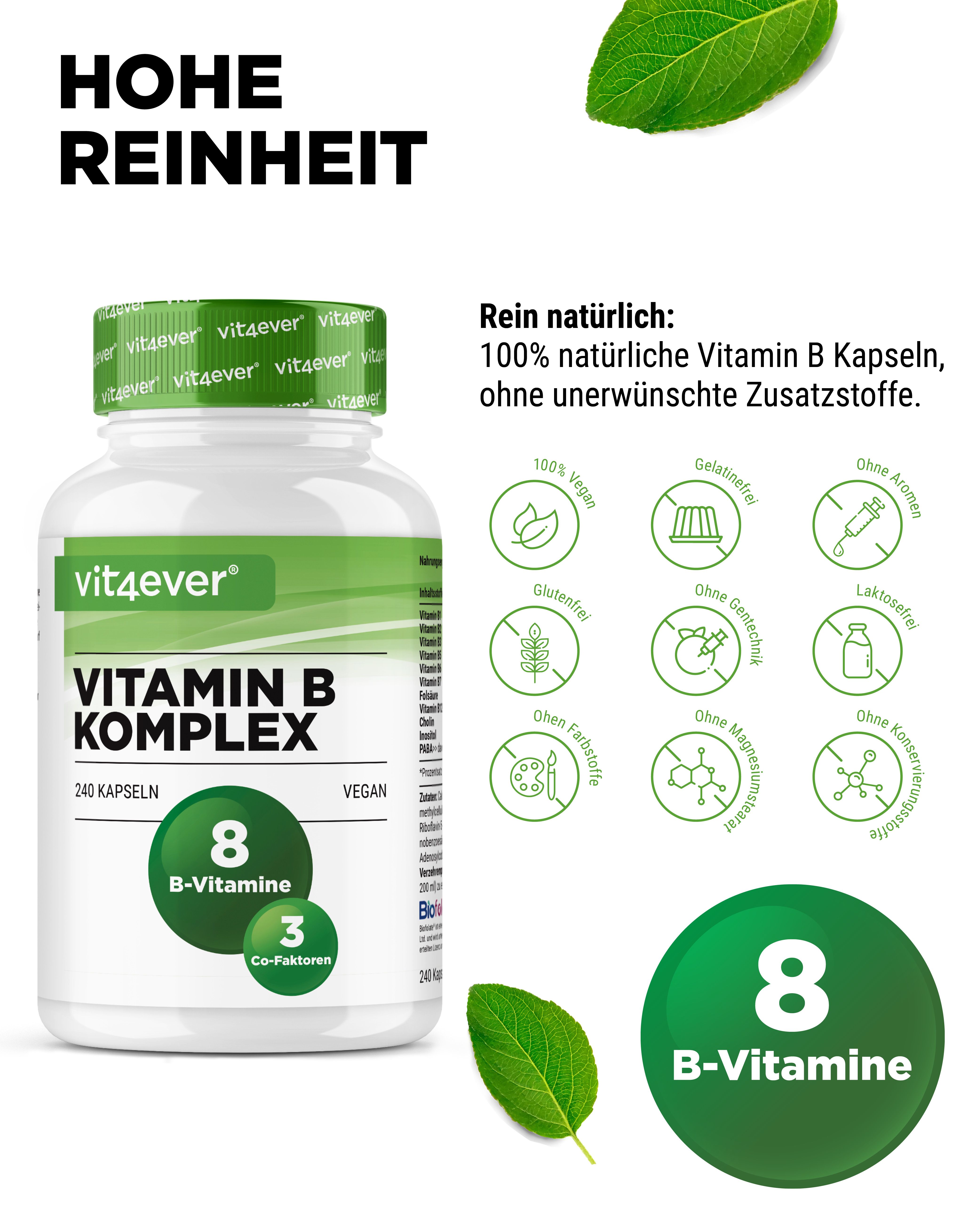 Vit4ever Vitamin B Komplex Flasche. 240 Kapseln. Vegan. 8 B-Vitamine und 3 Co-Faktoren. Aufschrift: Hohe Reinheit. 100% natürlich.