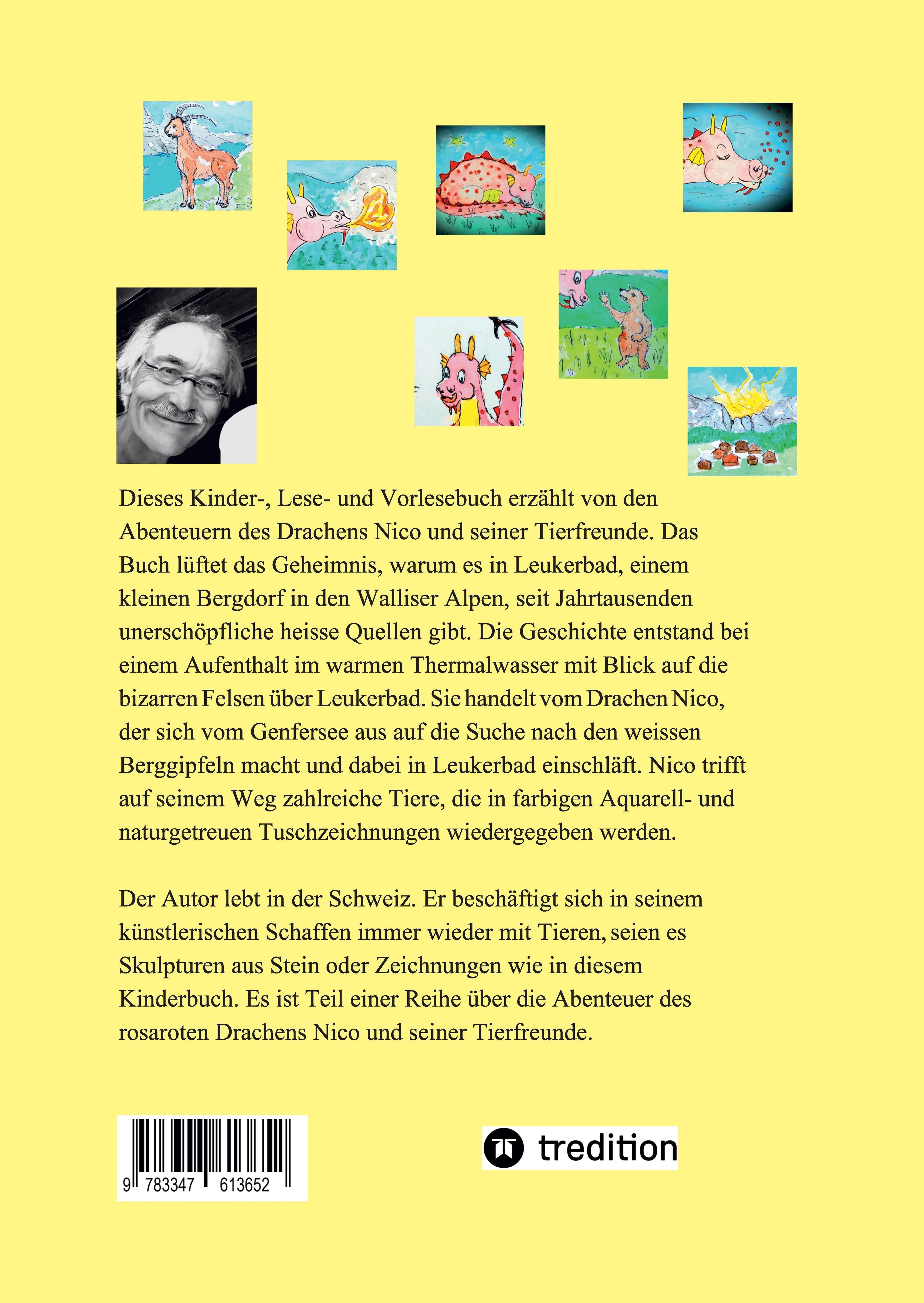 Rückseite des Buches "Das Geheimnis der heissen Quellen von Leukerbad". Text und Illustrationen.