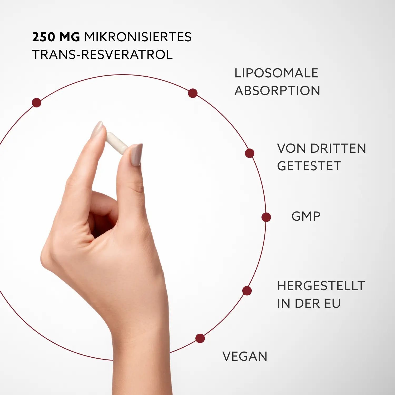 Hand hält Kapsel. Text: 250 MG mikronisiertes Trans-Resveratrol, liposomale Absorption, vegan.
