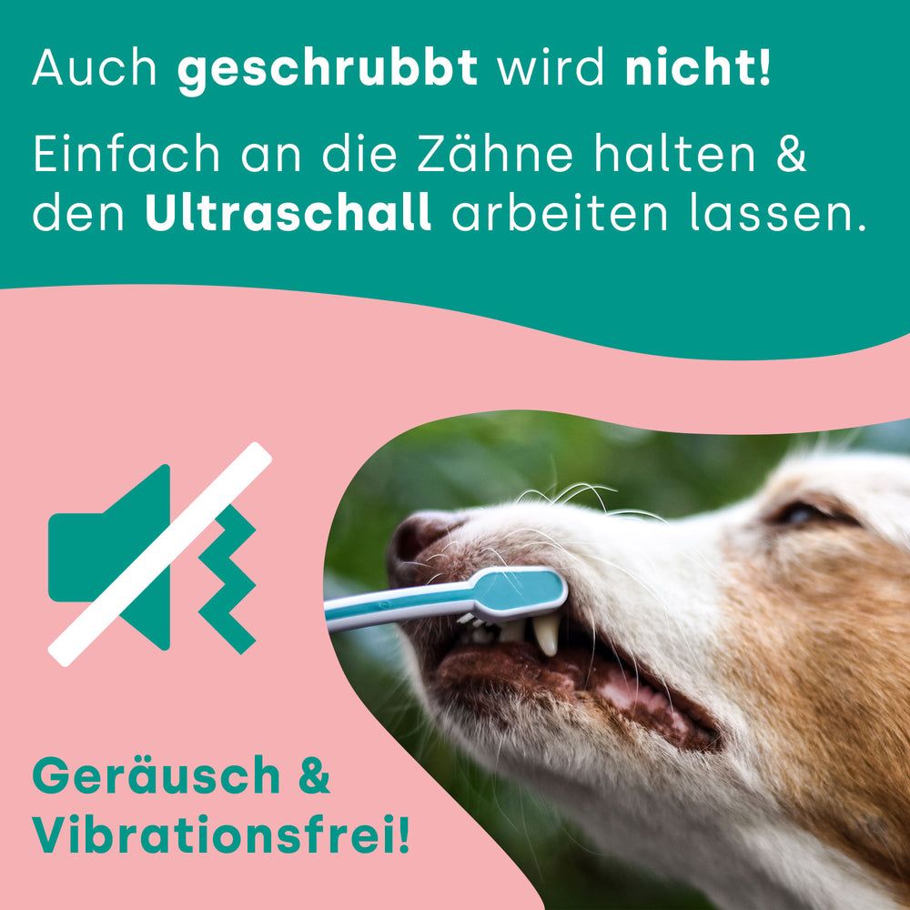 Ultraschall-Zahnbürste im Maul eines Hundes. Text: Auch geschrubbt wird nicht! Geräusch- & Vibrationsfrei!