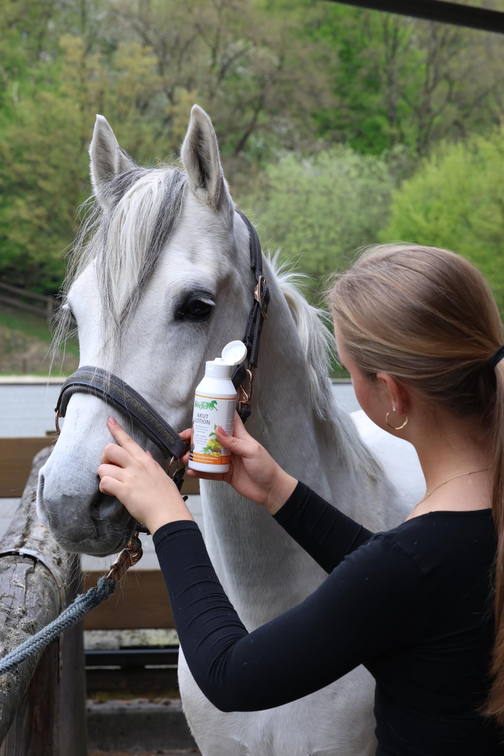 Person hält eine Flasche Stiefel Akutlotion vor einem Pferd. Die Flasche hat einen weißen Deckel und einen weißen Körper. Auf der Flasche ist ein Etikett.