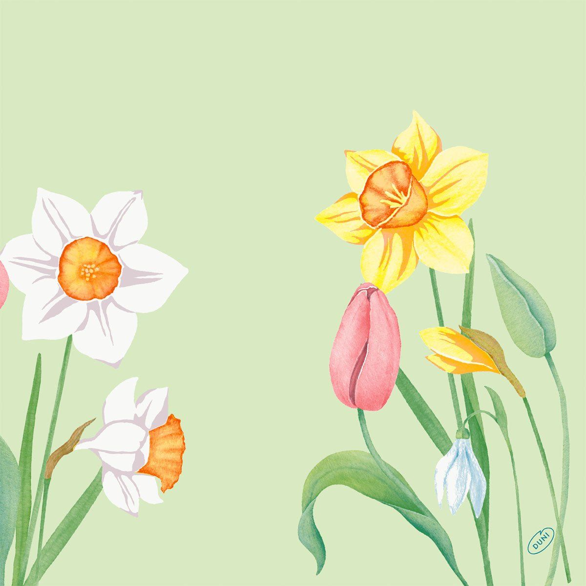 Servietten 40x40 4-lagig Klassik Spring Melody 50 St Tücher