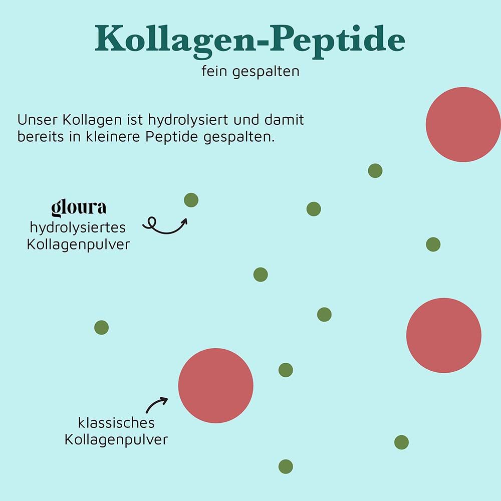 Grafik: Kollagen-Peptide. Hydrolysiertes Kollagenpulver (Gloura) und klassisches Kollagenpulver. Grüne und rote Kreise.