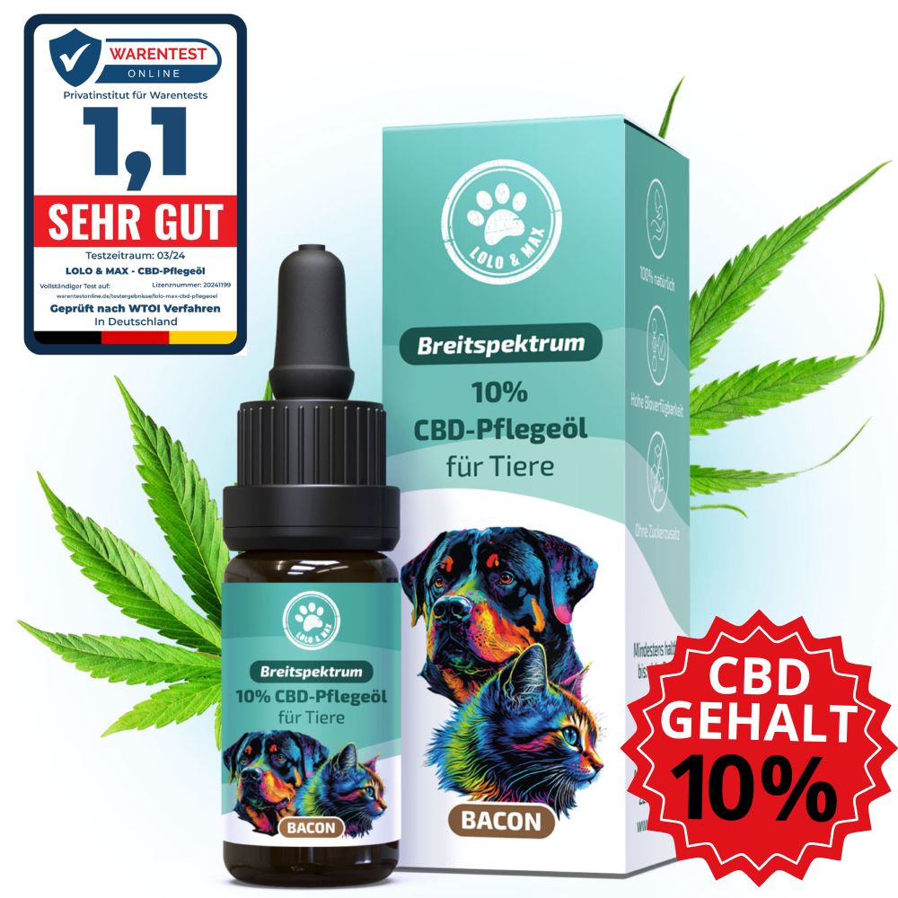 Flasche und Karton mit CBD-Öl. Text: Breitspektrum 10% CBD-Pflegeöl für Tiere. Sehr gut.