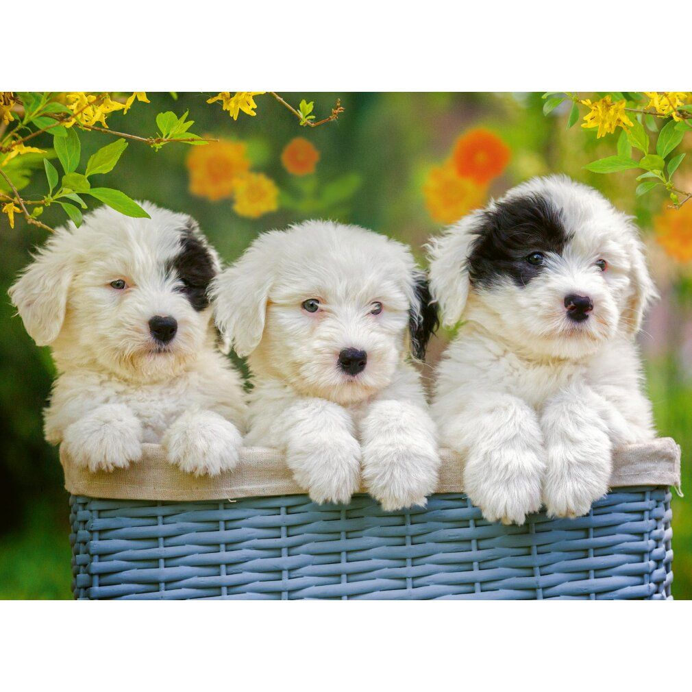 ravensburger Puzzle Niedliche Welpen xxl 200 Teile