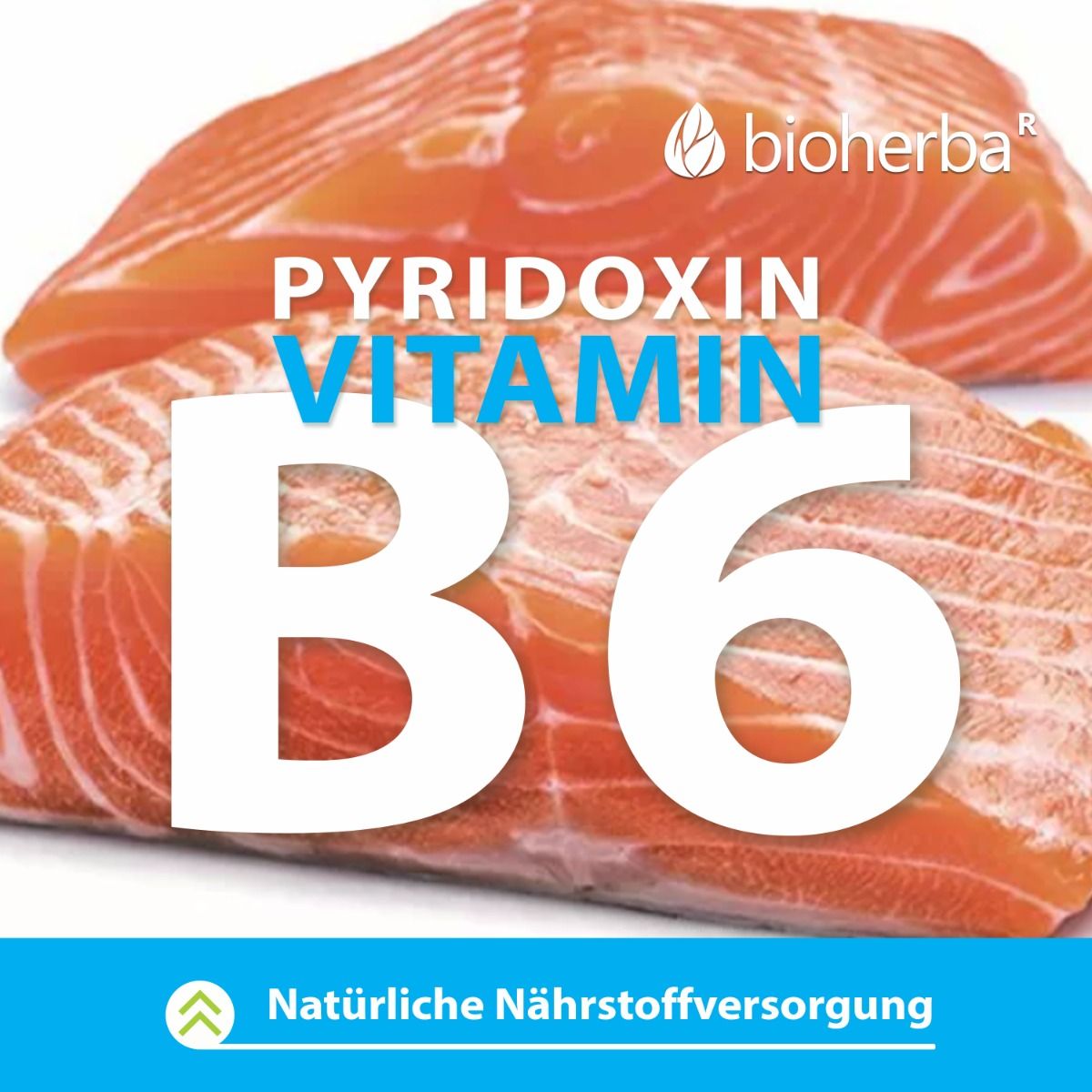 Lachsfilet mit Text: Pyridoxin Vitamin B6. Bioherba Logo.