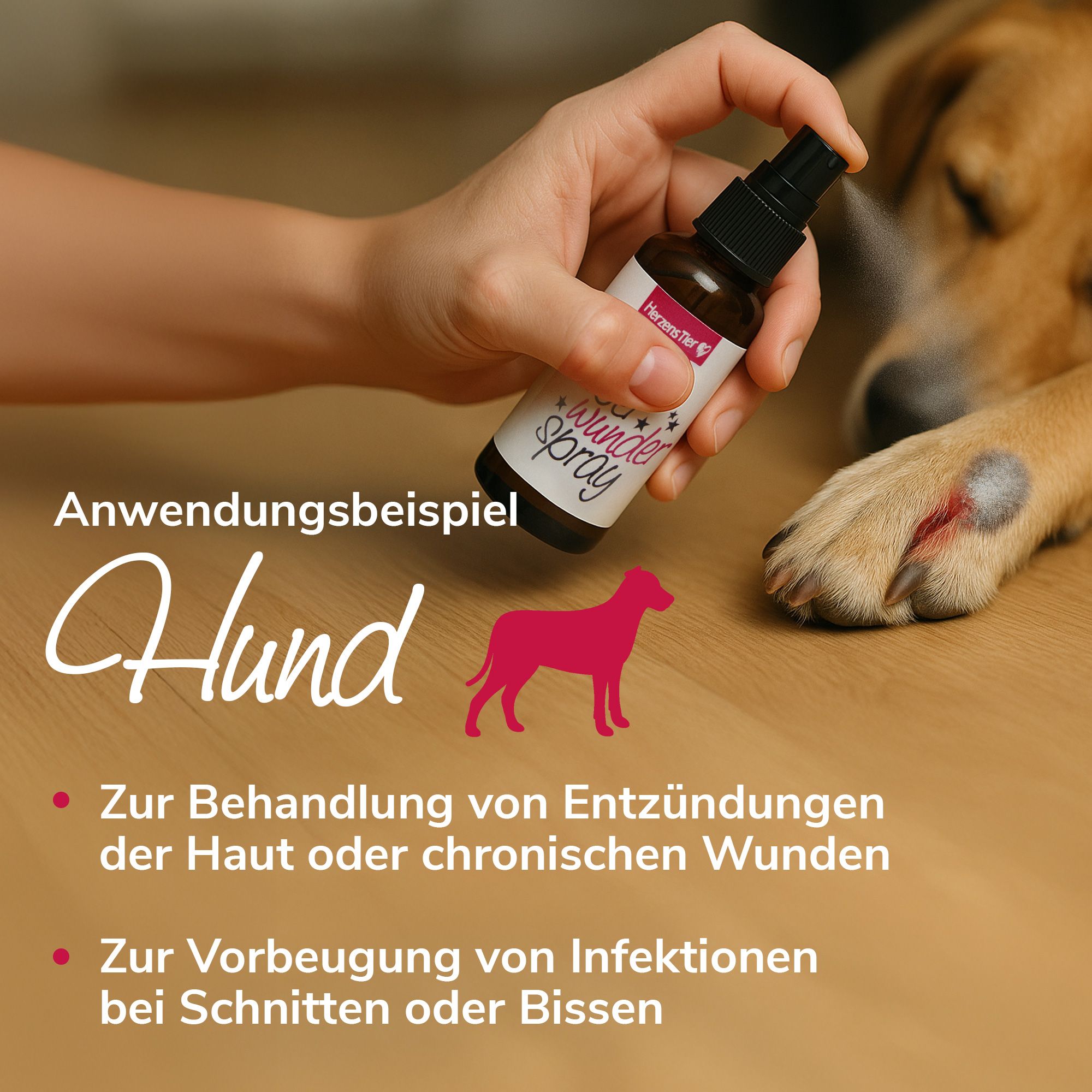 HerzensTier Silberwunderspray für Hund, Katze und Pferd