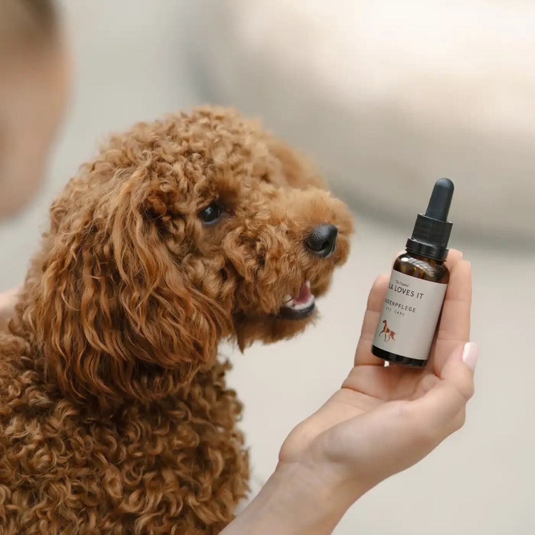 Person hält eine Flasche Augenpflege von Lila Loves It. Ein Hund schaut interessiert.