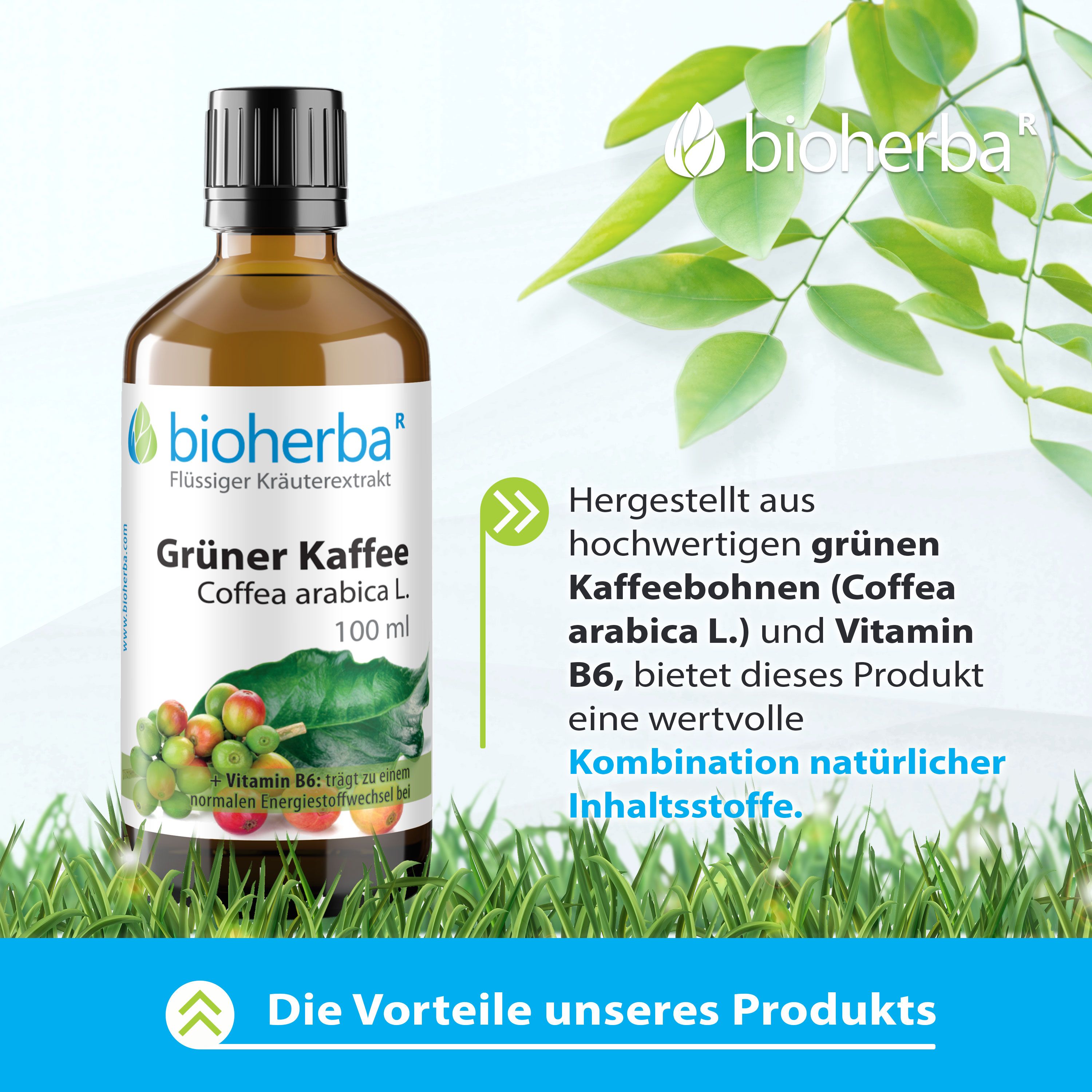 Braune Glasflasche mit Bioherba Grüner Kaffee. Text: Hergestellt aus grünen Kaffeebohnen und Vitamin B6.