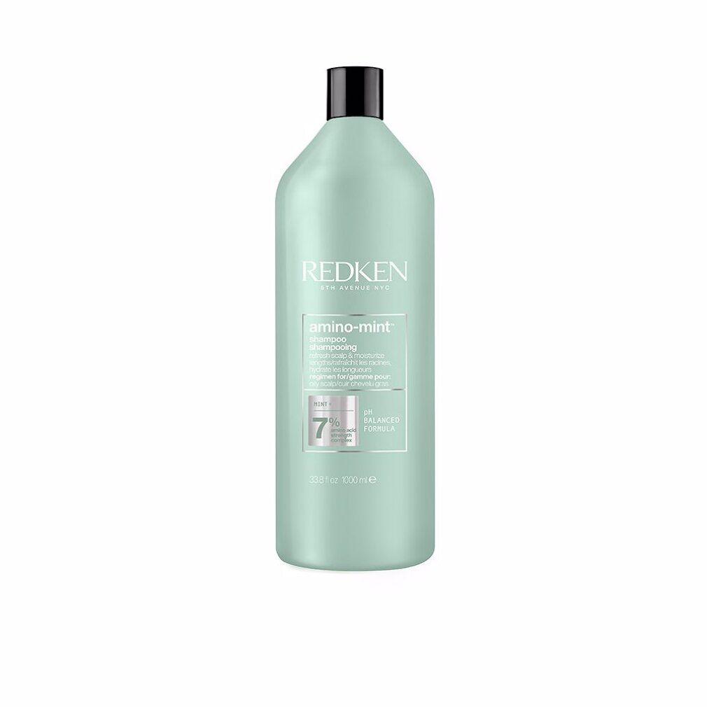 Shampoo Redken Amino Mint