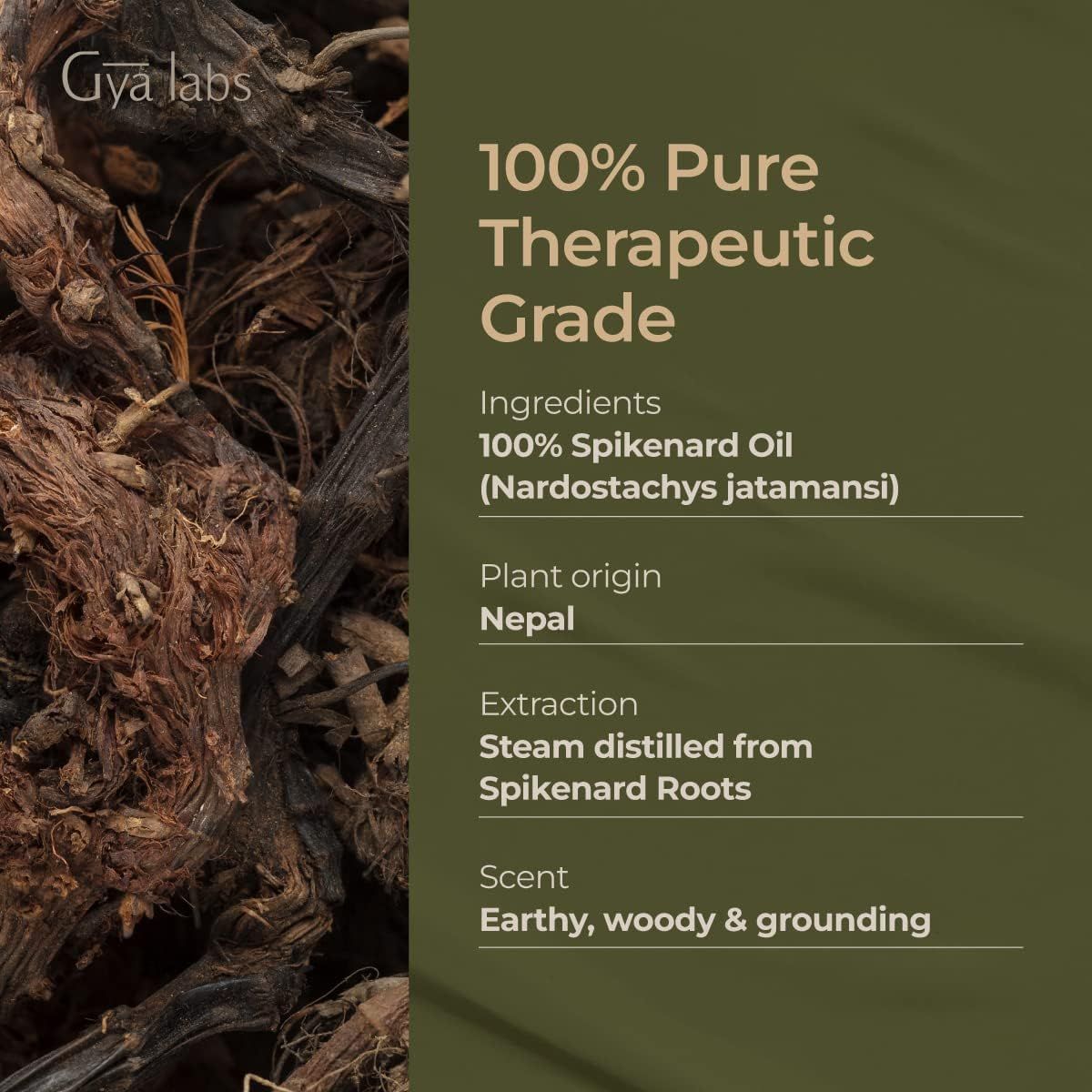 Nahaufnahme von Spikenard-Wurzeln. Text: 100% reines therapeutisches Öl. Inhaltsstoffe, Herkunft, Extraktion, Duft. Gya Labs Logo.