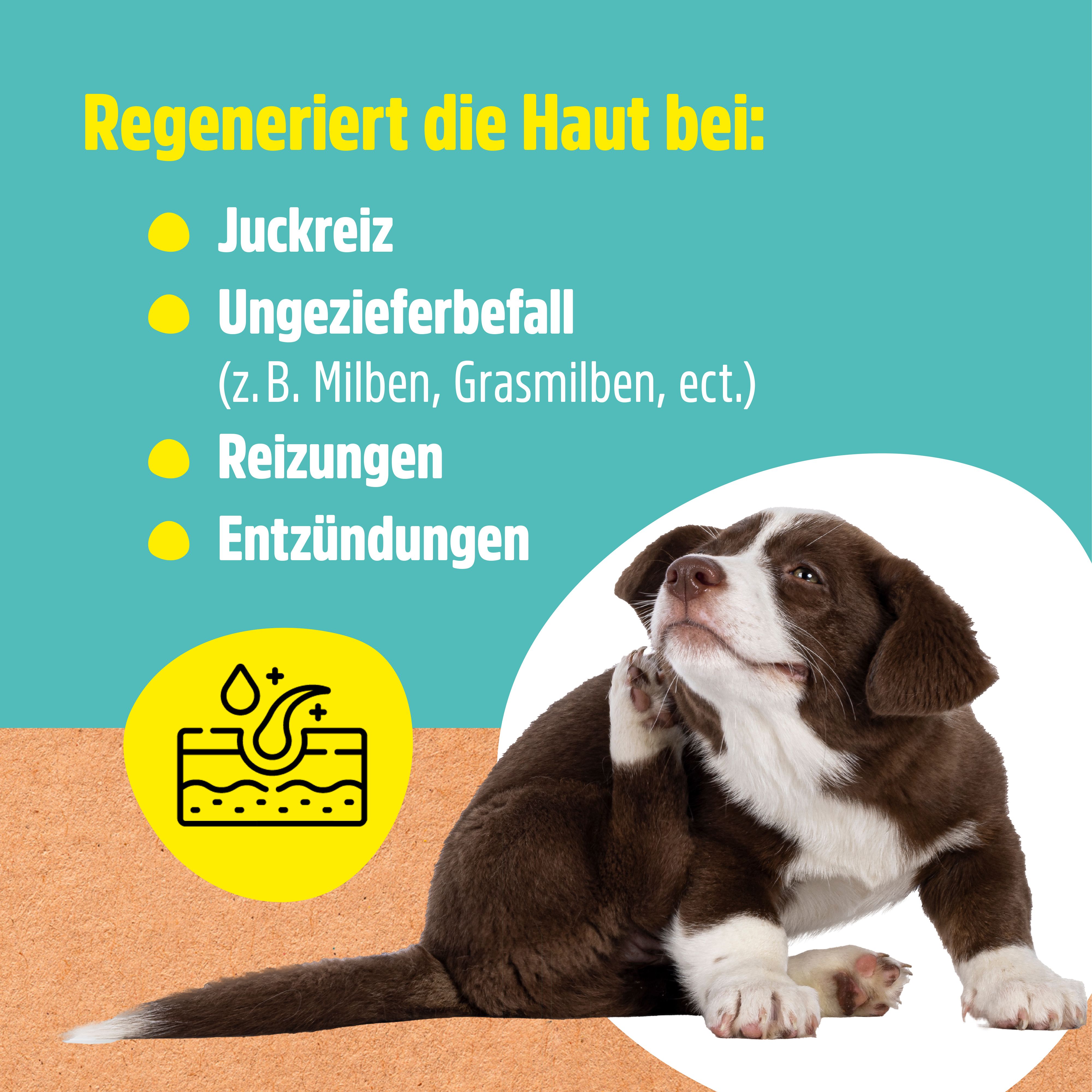 Welpe kratzt sich. Text: Regeneriert die Haut bei: Juckreiz, Ungezieferbefall, Reizungen, Entzündungen. Gelbes Icon: Haut mit Tropfen.