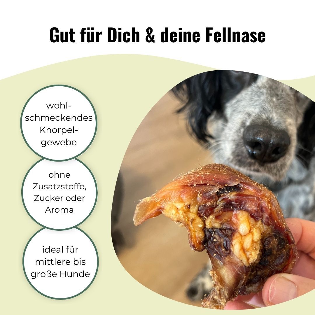 Getrocknete Rinderohrmuschel, knorpelreich, ohne Zusätze, für Hunde.