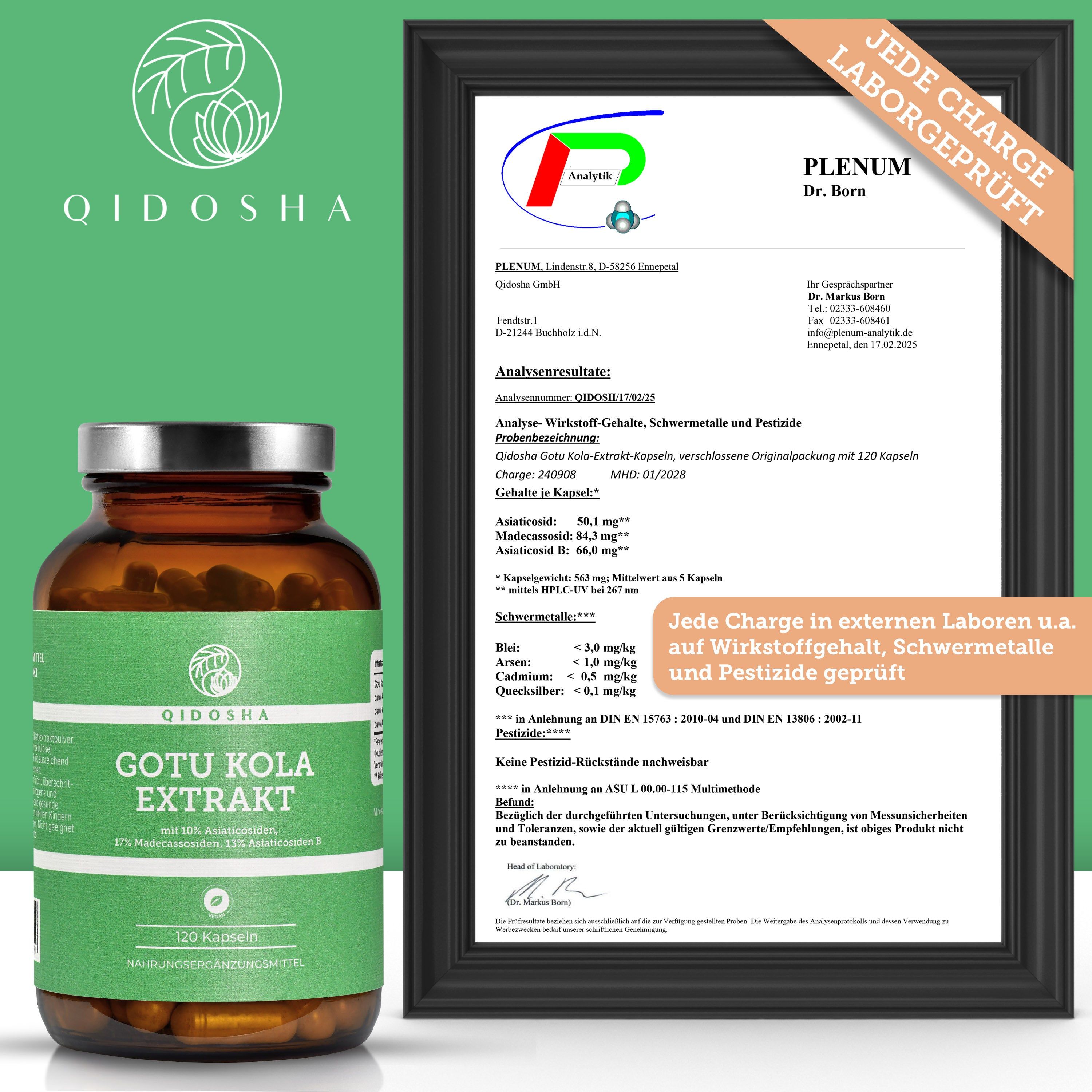 QIDOSHA Gotu Kola Extrakt (Indischer Wassernabel) mit 10% Asiaticosiden