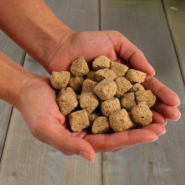Gefriergetrocknete Würfel in beiden Händen gehalten. Hintergrund: Holz.
