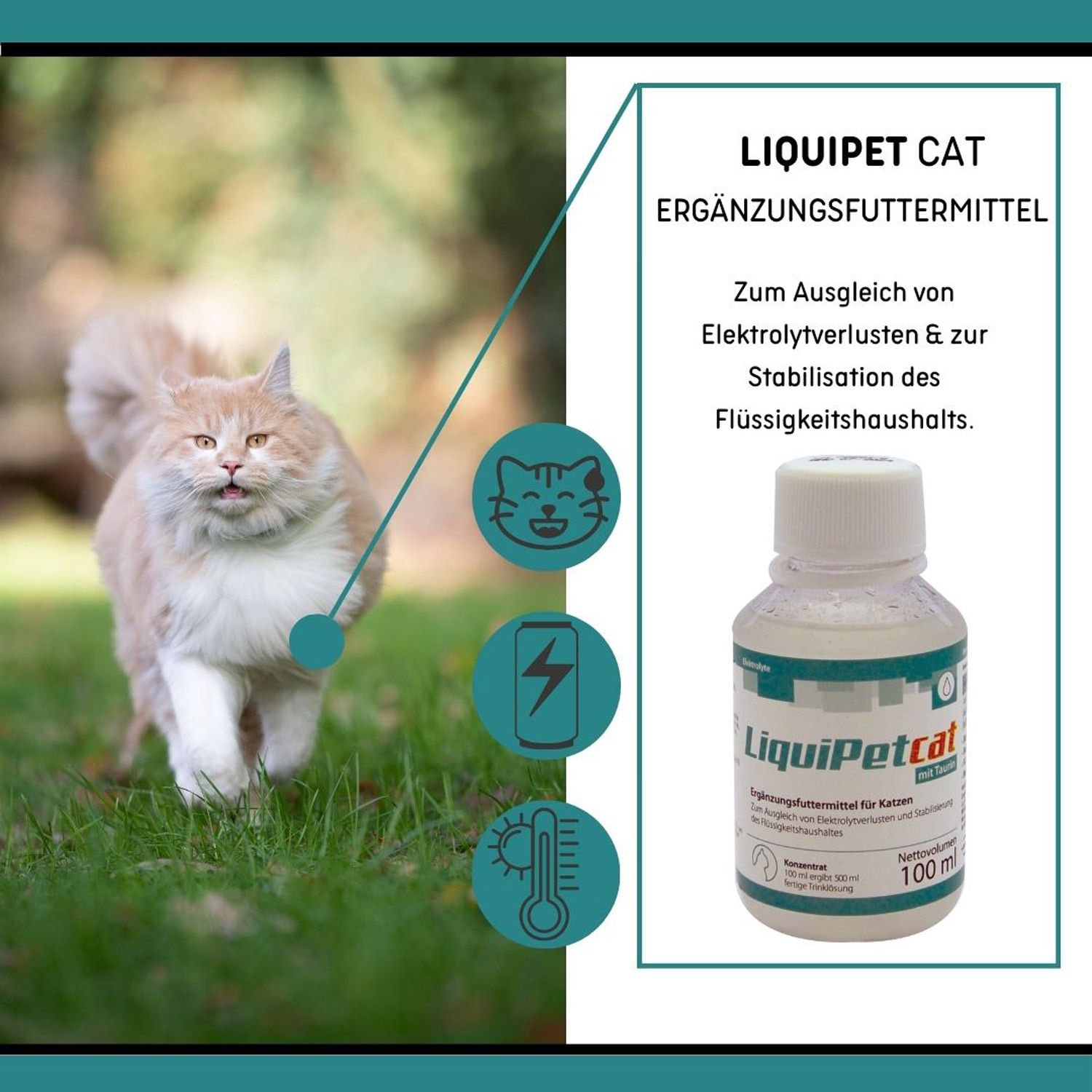 reboVet LiquiPet cat