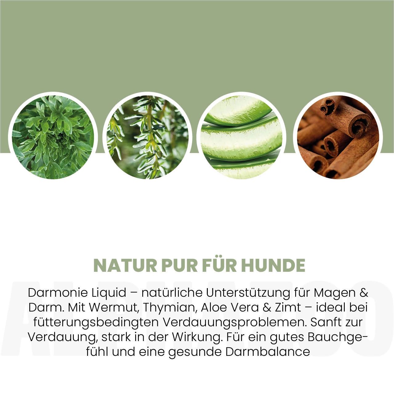 Kreisförmige Bilder von Wermut, Thymian, Aloe Vera und Zimt. Text: Natur pur für Hunde. Darmonie Liquid.