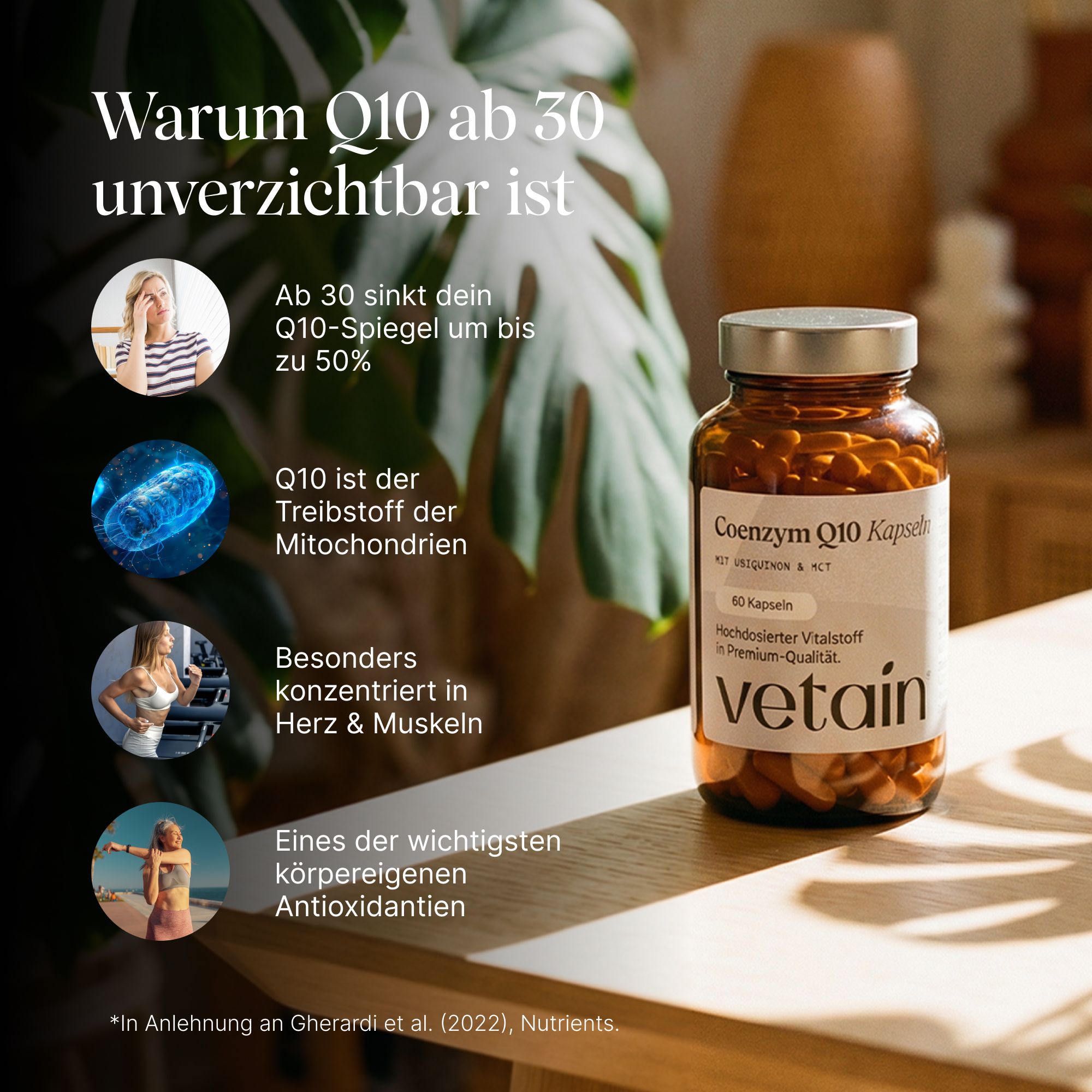 Braune Flasche mit Kapseln, Etikett "Coenzym Q10 Kapseln", "60 Kapseln", "vetain". Text über Q10 ab 30: Antioxidantien, Herz & Muskeln, Mitochondrien.