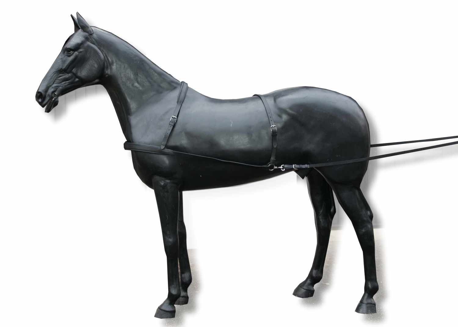 Schwarzes Pferd mit Geschirr und Leinen. Seitenansicht, isoliert auf weißem Hintergrund.