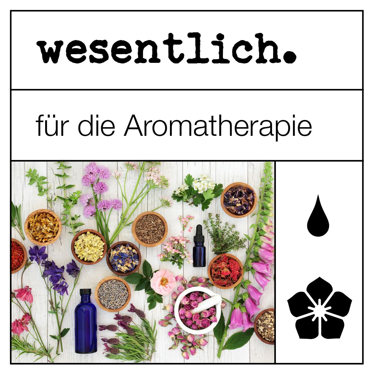 Citronella Öl - ätherisches Öl von wesentlich.