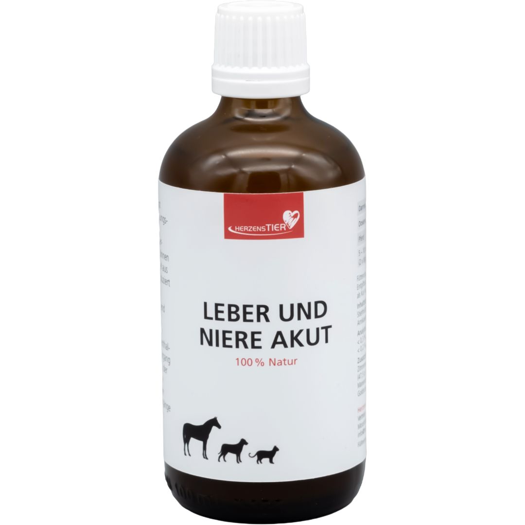 Braune Glasflasche mit weißem Deckel und Etikett. Aufschrift: Leber und Niere akut. Logo: HerzensTier.