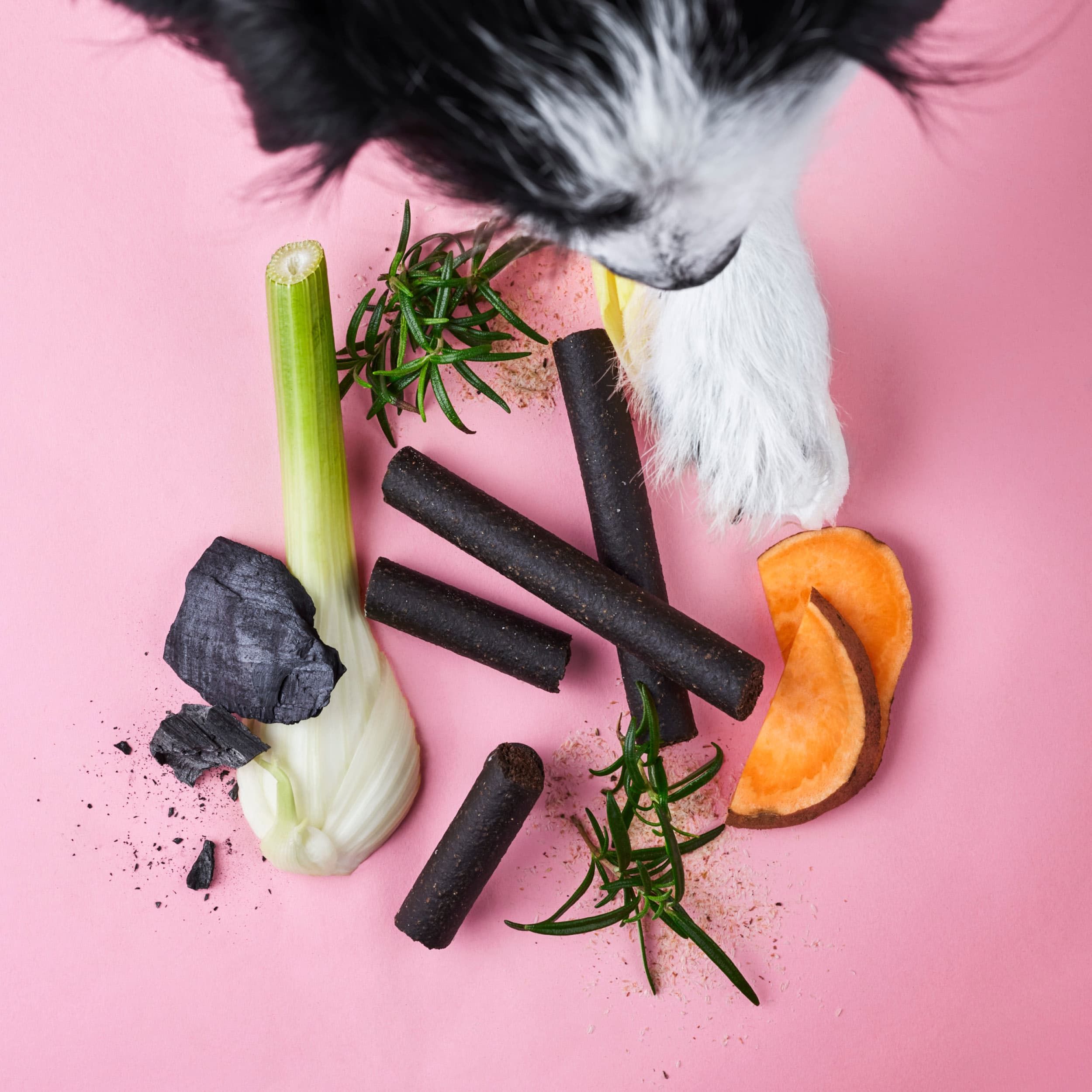 Zutaten und Darmwohl Sticks auf pinkem Grund. Schwarze Sticks, Rosmarin, Süßkartoffel, Lauch und Holzkohle.