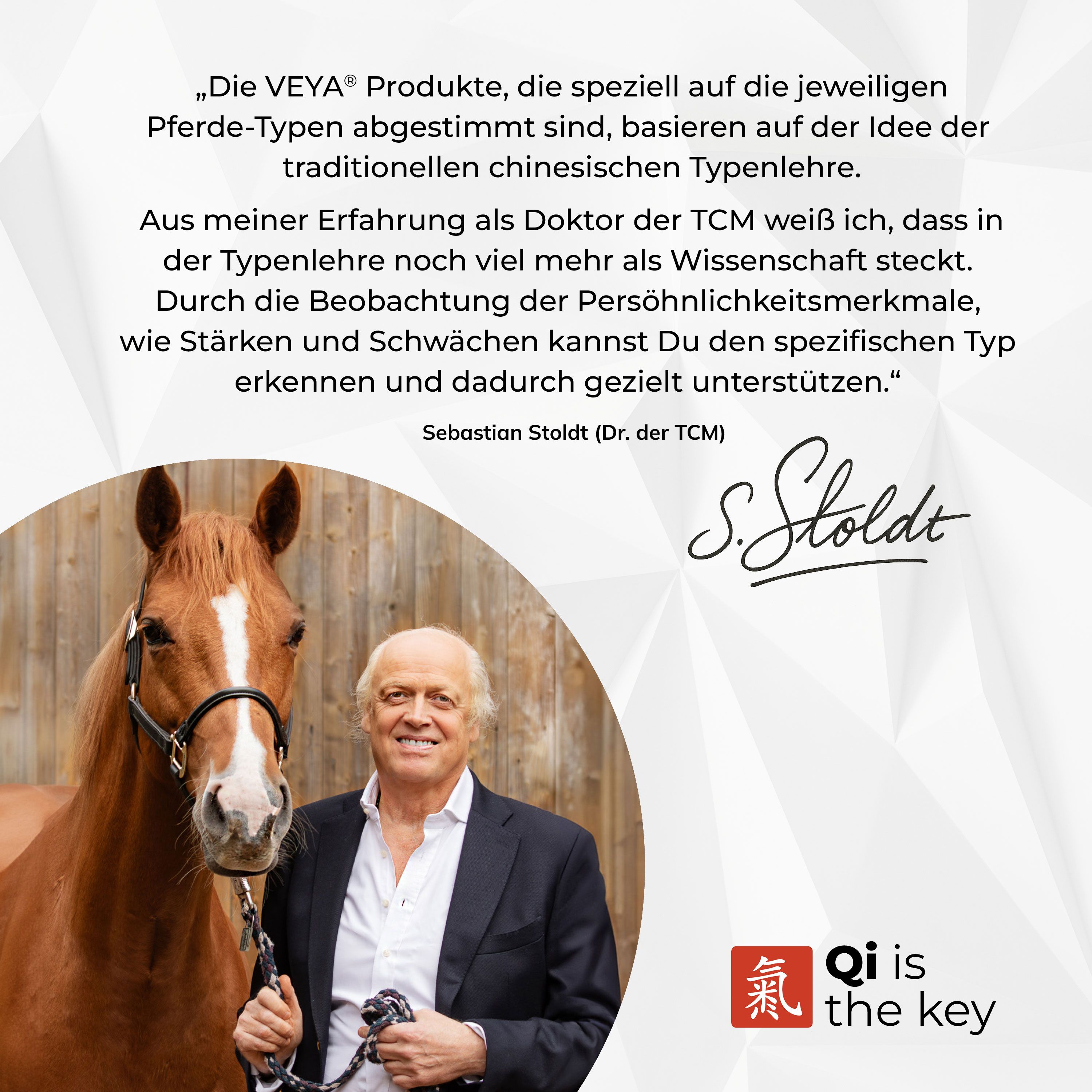 Mann mit Pferd. Text: Qi is the key. Unterschrift: S. Stoldt. Logo.