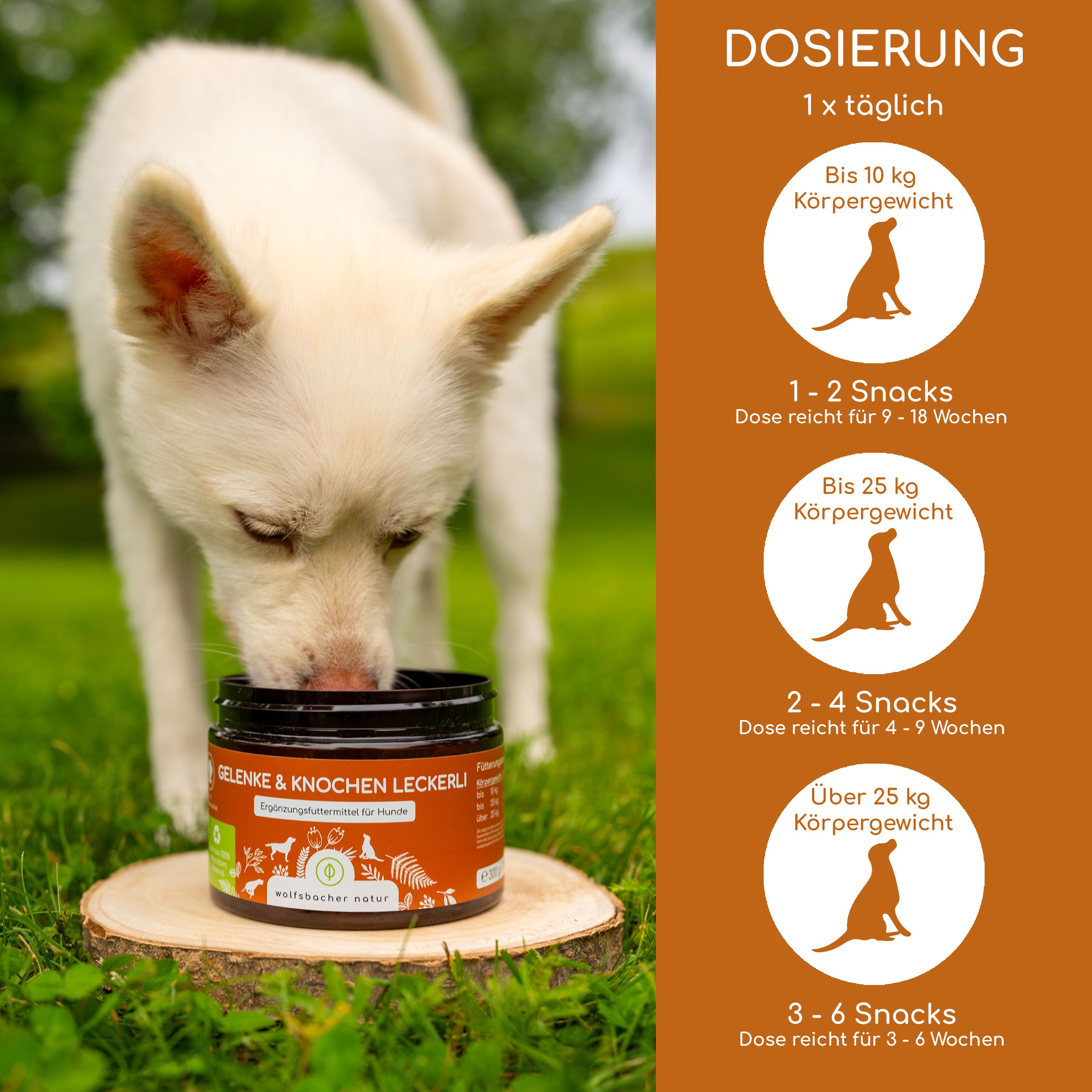 Ein Hund frisst Leckerlis aus einem Glas. Auf dem Etikett steht "Gelenke & Knochen Leckerli" und Dosierungsempfehlungen.