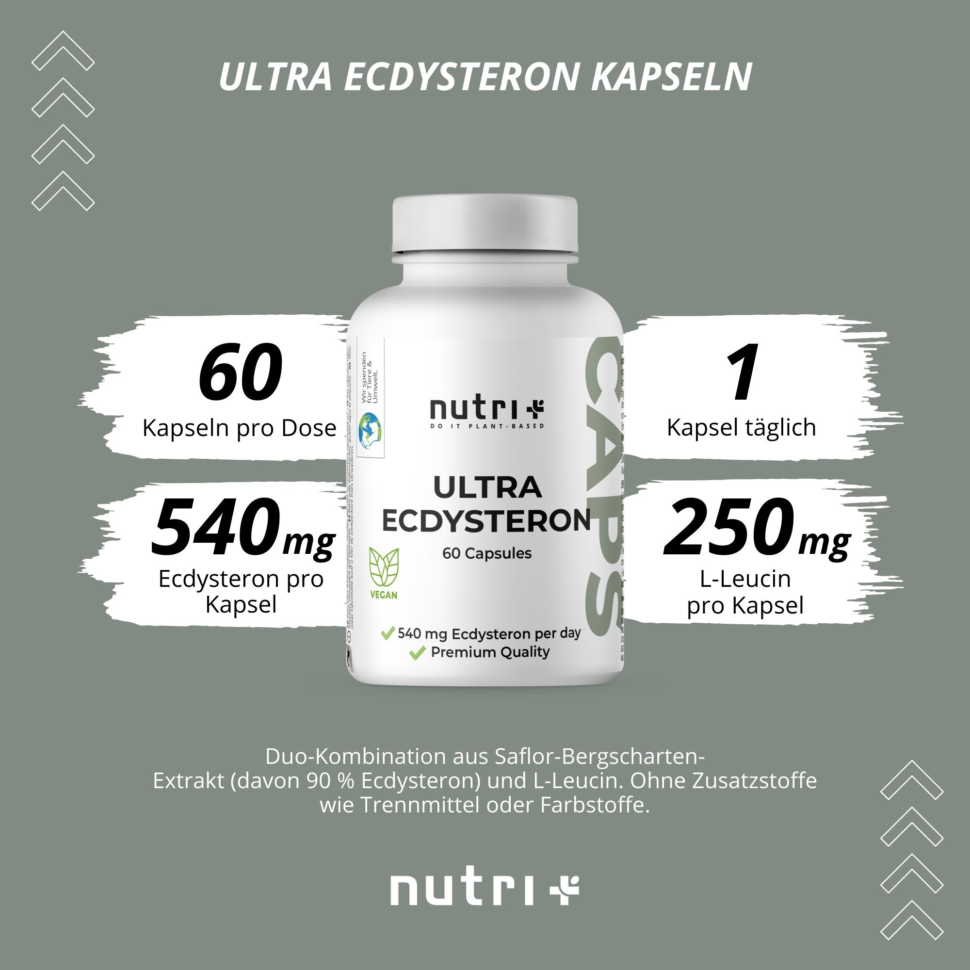 Flasche mit Kapseln, Text: Ultra Ecdysteron Kapseln. 60 Kapseln pro Dosis, 540mg Ecdysteron pro Kapsel, 1 Kapsel täglich, 250mg L-Leucin pro Kapsel.
