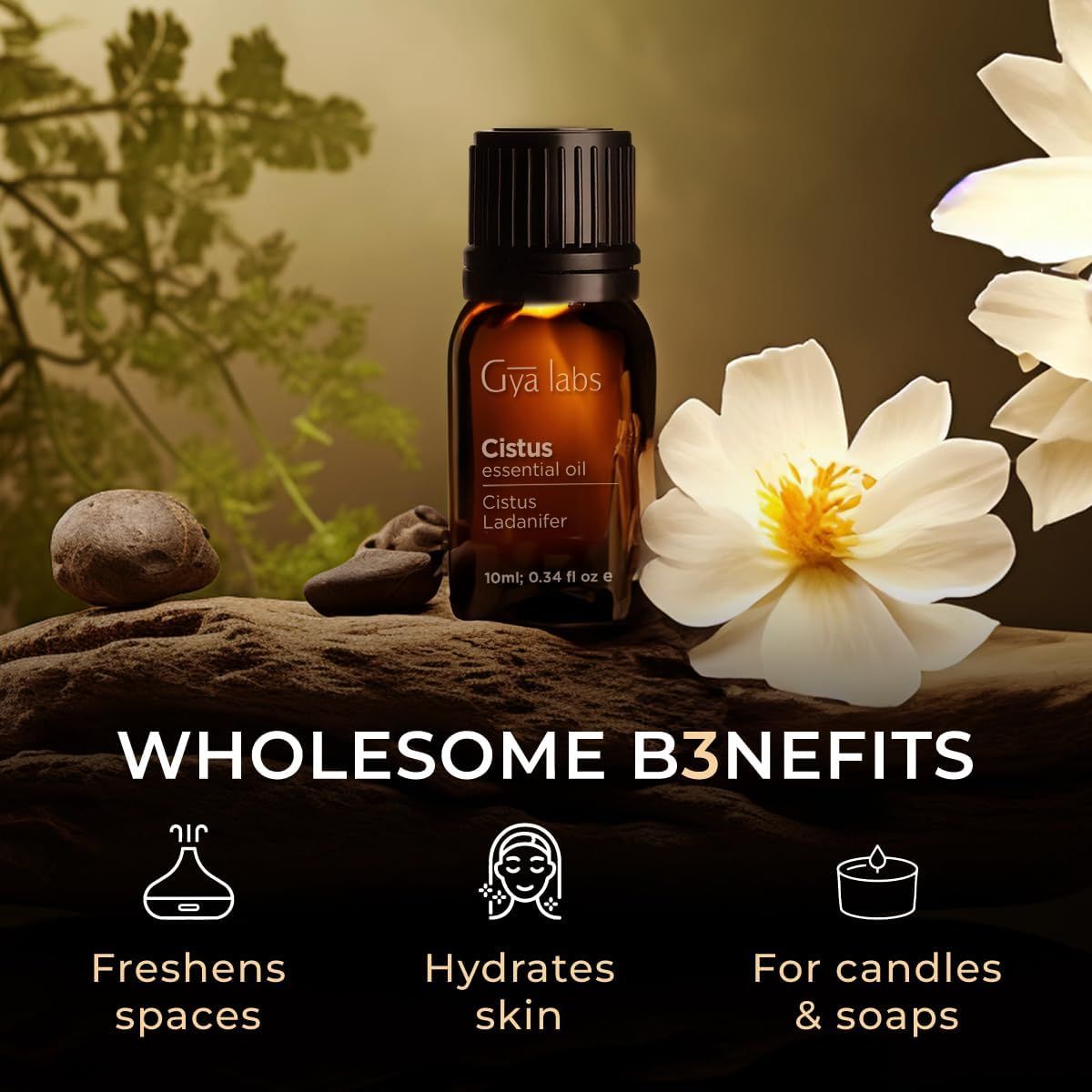 Braune Glasflasche Gya Labs Cistus Öl. Text: "Wholesome Benefits". Illustrationen: Raumbeduftung, Haut, Kerzen.