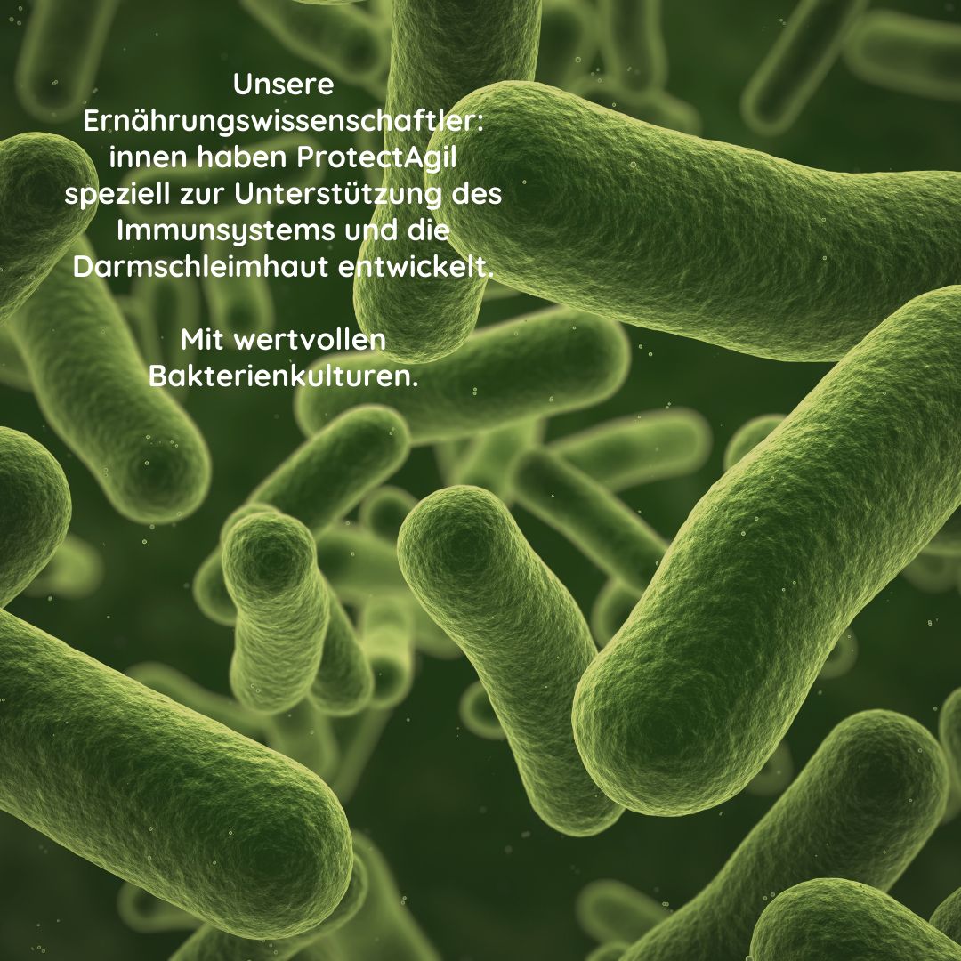 Nahaufnahme von Bakterien. Text: Unsere Ernährungswissenschaftler haben ProtectAgil speziell zur Unterstützung des Immunsystems entwickelt.