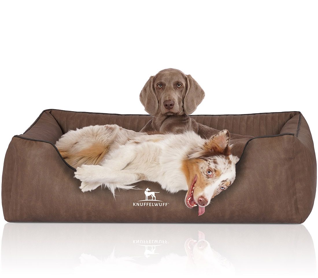 Braunes Hundebett mit zwei Hunden. Ein Hund liegt, einer sitzt. Knuffelwuff Logo. Gepolsterte Oberfläche mit Steppnähten.