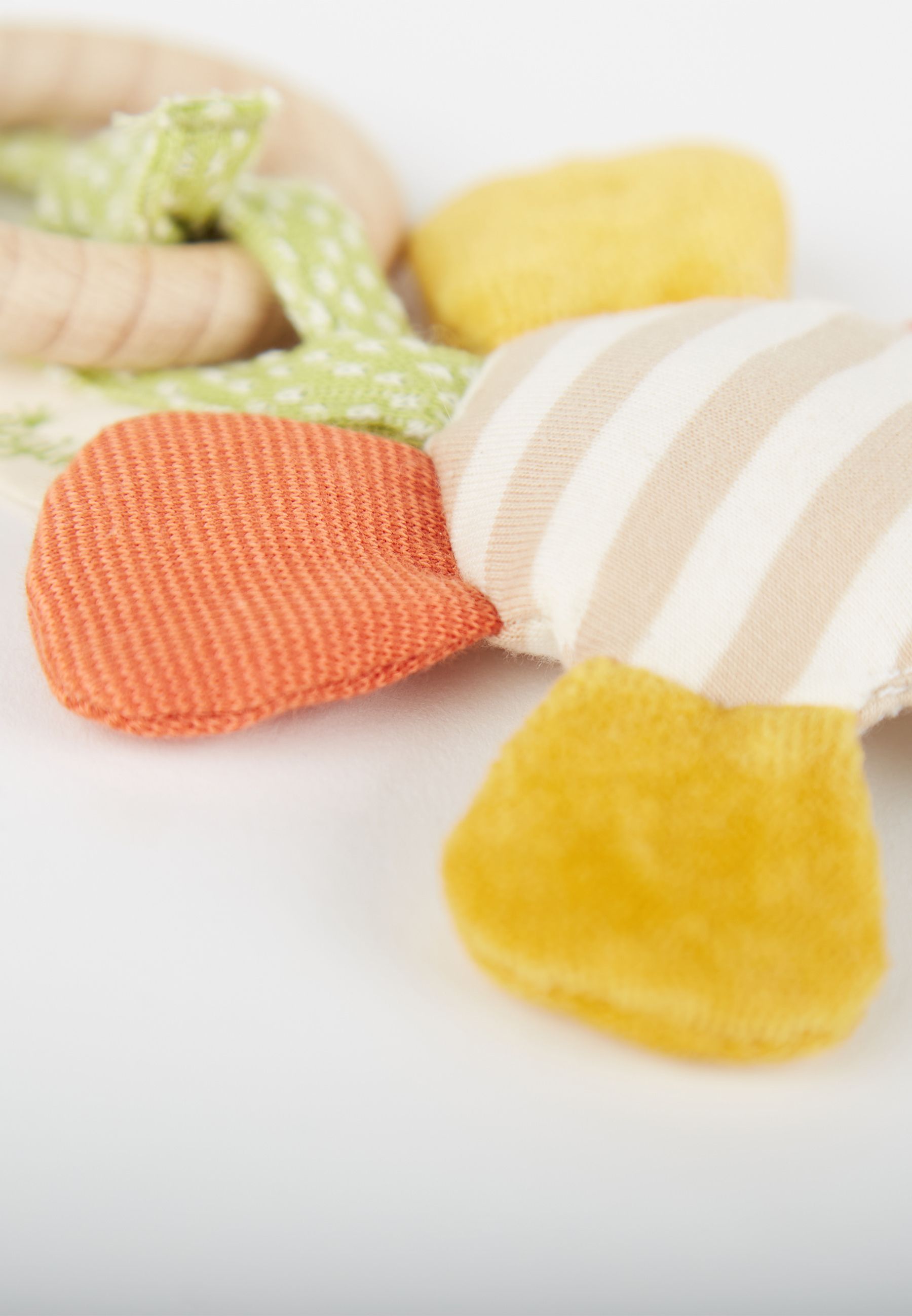 Nahaufnahme eines Blumen-Greiflings. Orange, gelbe Blütenblätter, gestreifte Mitte. Holzring und grünes Band nicht im Fokus.