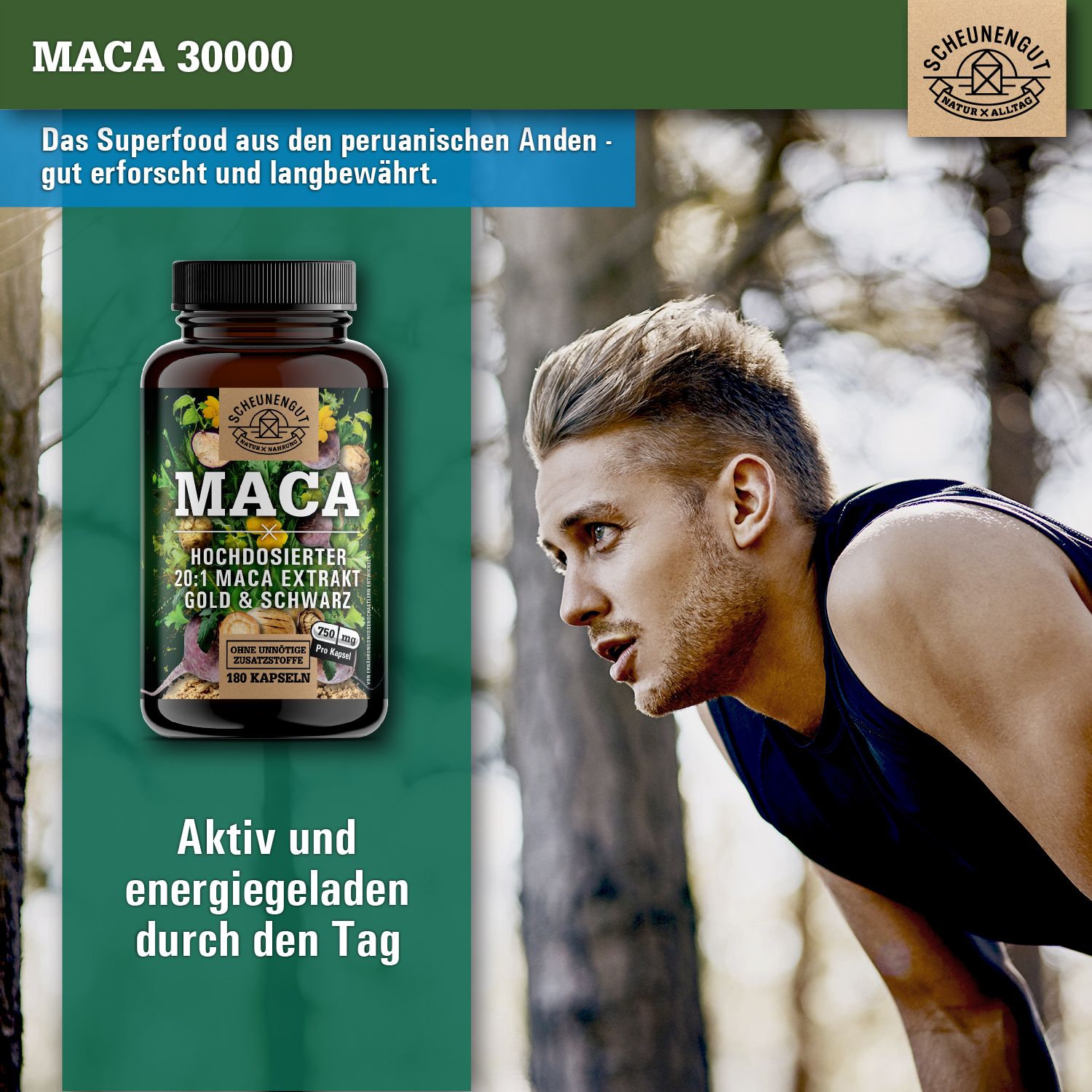 Mann im Wald, neben einer Flasche mit Kapseln. Aufschrift: MACA, 20:1 Extrakt, Gold & Schwarz. Text: Aktiv und energiegeladen.