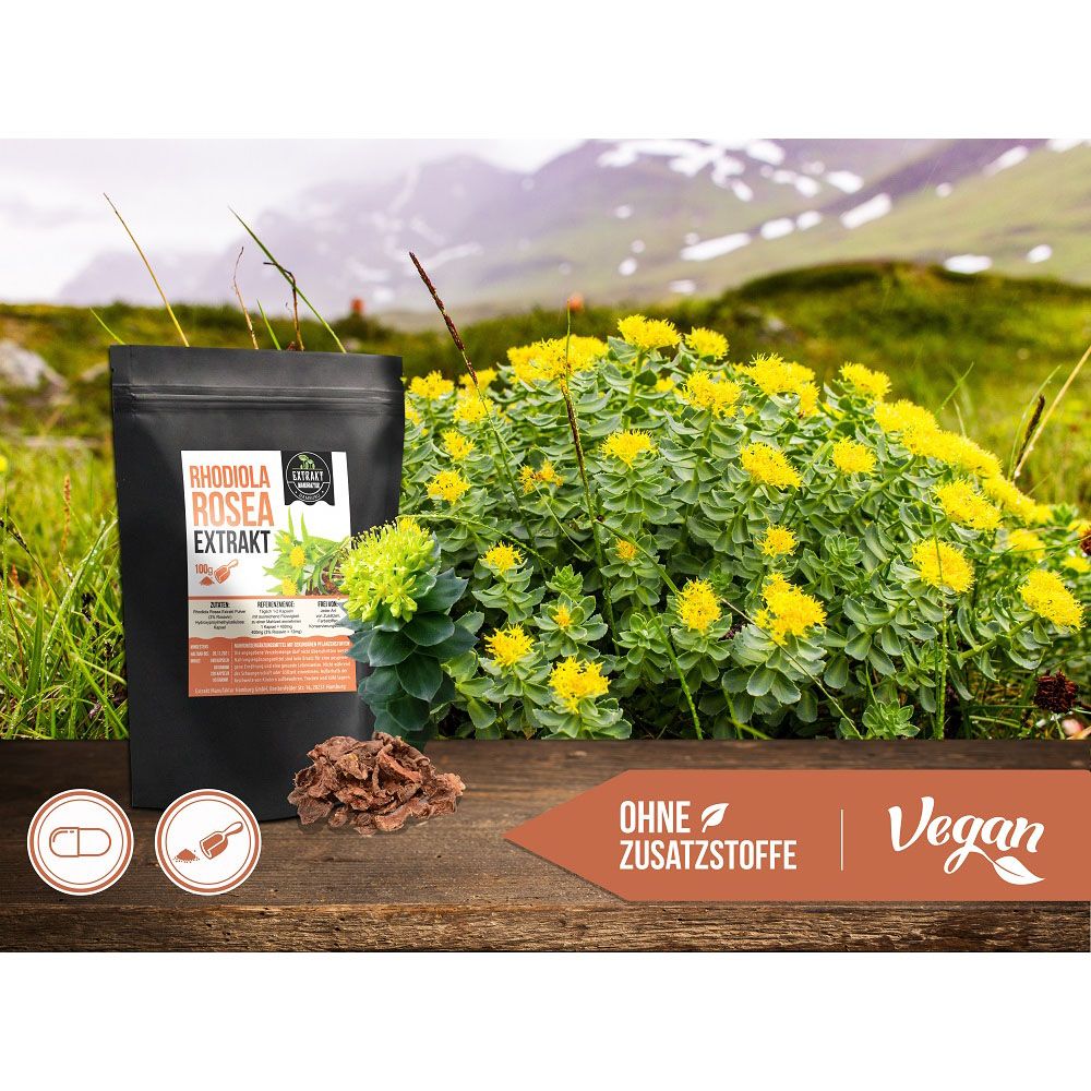 Extrakt Manufaktur Rhodiola Rosea Extrakt Pulver