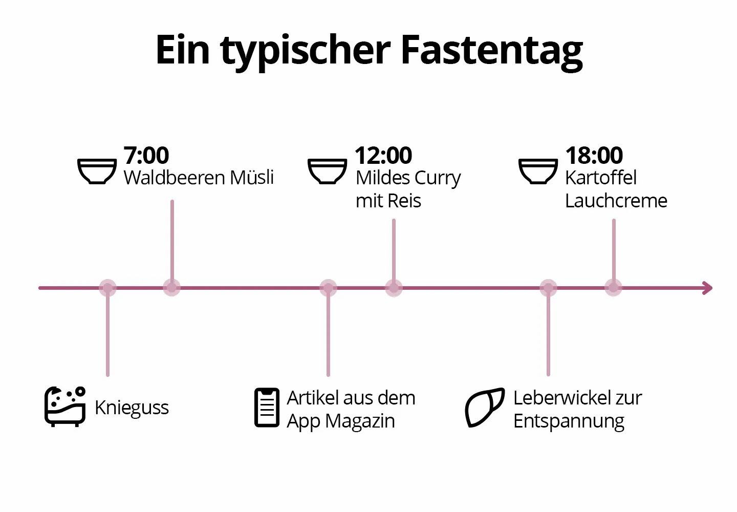 Salufast 5 Tage Fastenbox - LeberVital