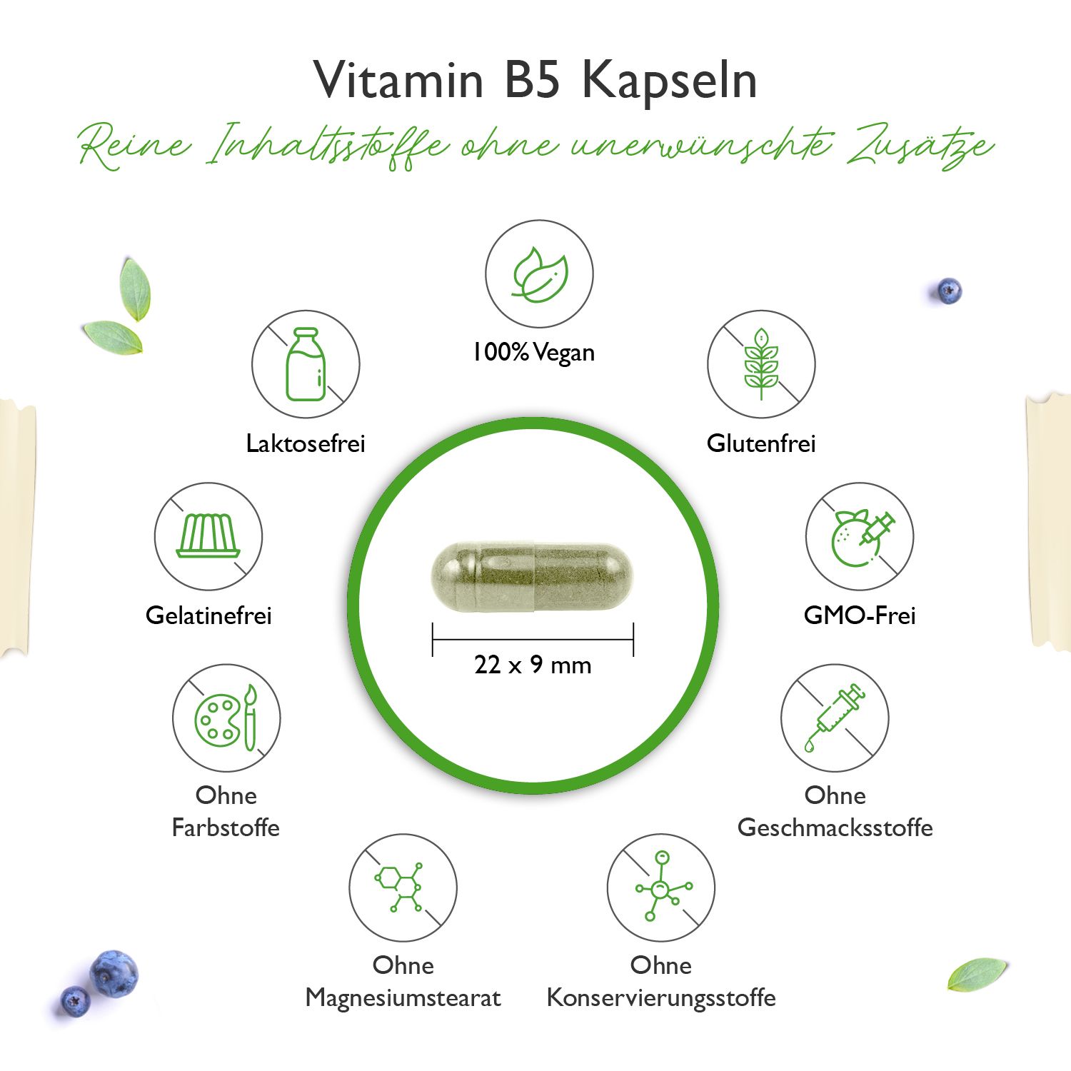 vit4ever Vitamin B5 - Pantothensäure - Hochdosiert