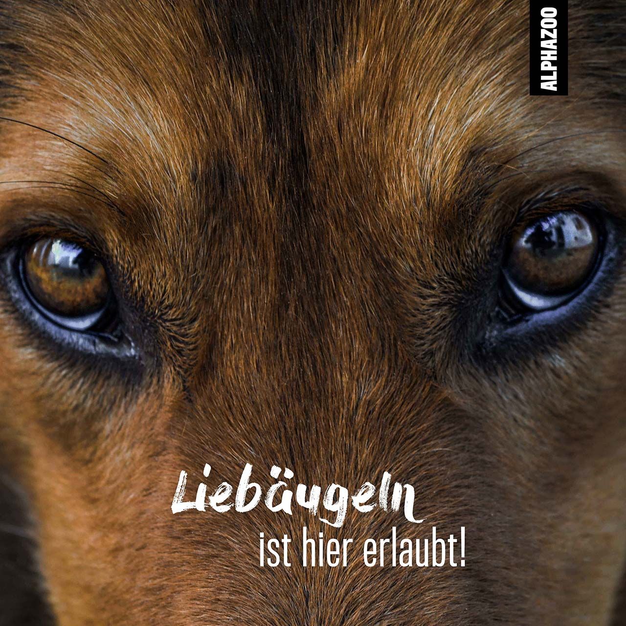 Nahaufnahme von Hundeaugen. Text: Liebäugeln ist hier erlaubt! AlphaZoo Logo.
