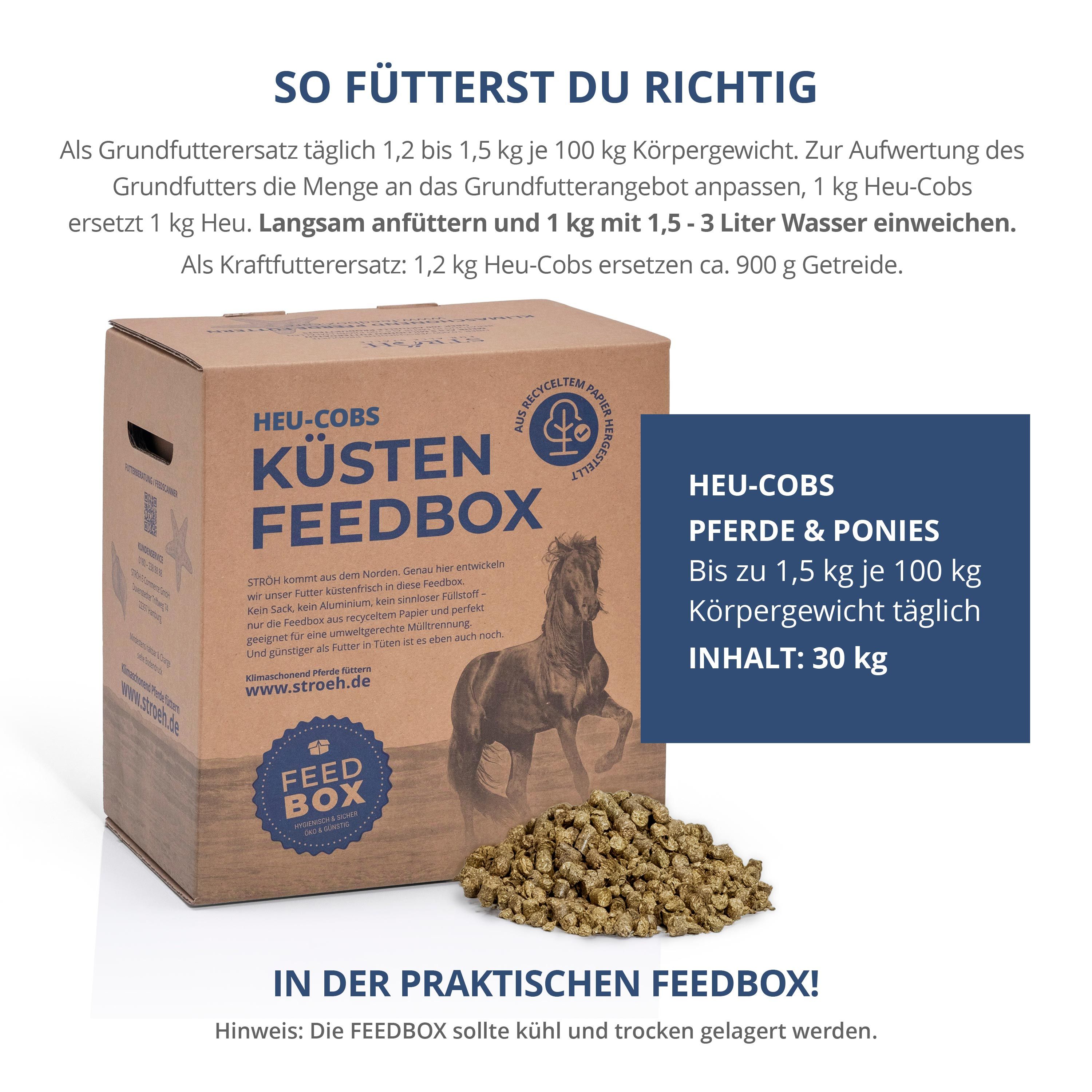 Braune "Küsten Feedbox" mit Heu-Cobs und Text. Logo und Pferd auf der Box. Heu-Cobs-Pellets daneben. Text: So fütterst du richtig.