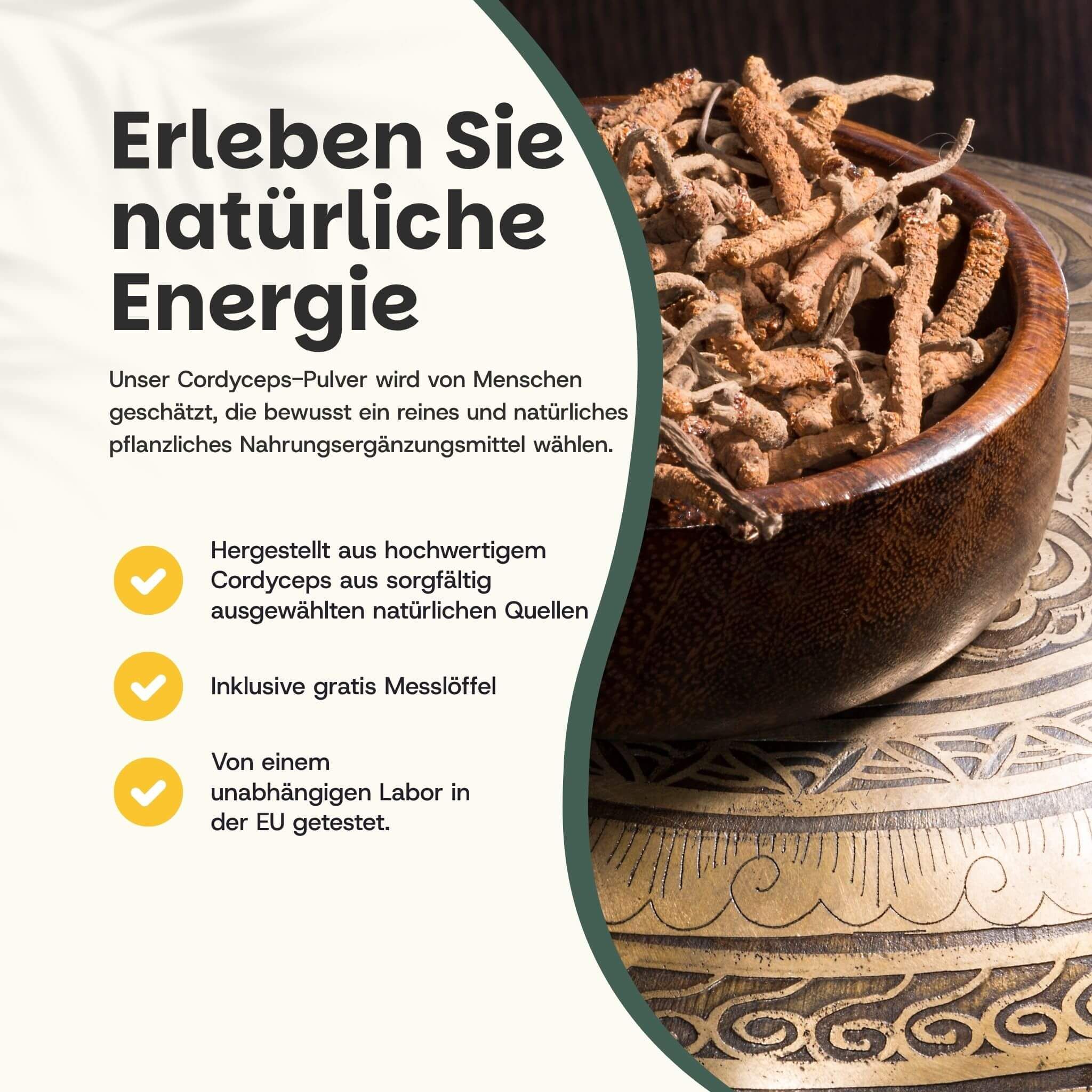 Holzschale mit Cordyceps-Pilzen. Text: „Erleben Sie natürliche Energie“. Gelbe Check-Symbole.