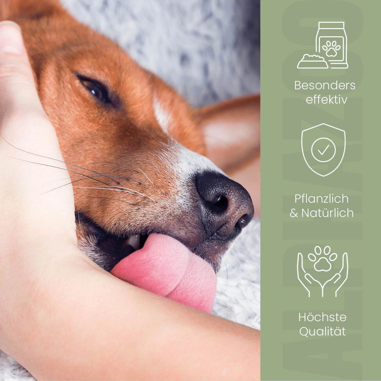 Hund leckt Hand. Text: Besonders effektiv, pflanzlich & natürlich, höchste Qualität. Icons.