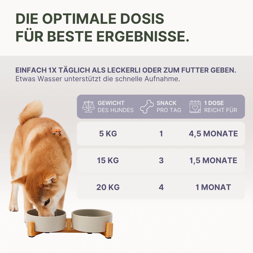 DOG1 Relax Snack für Hunde