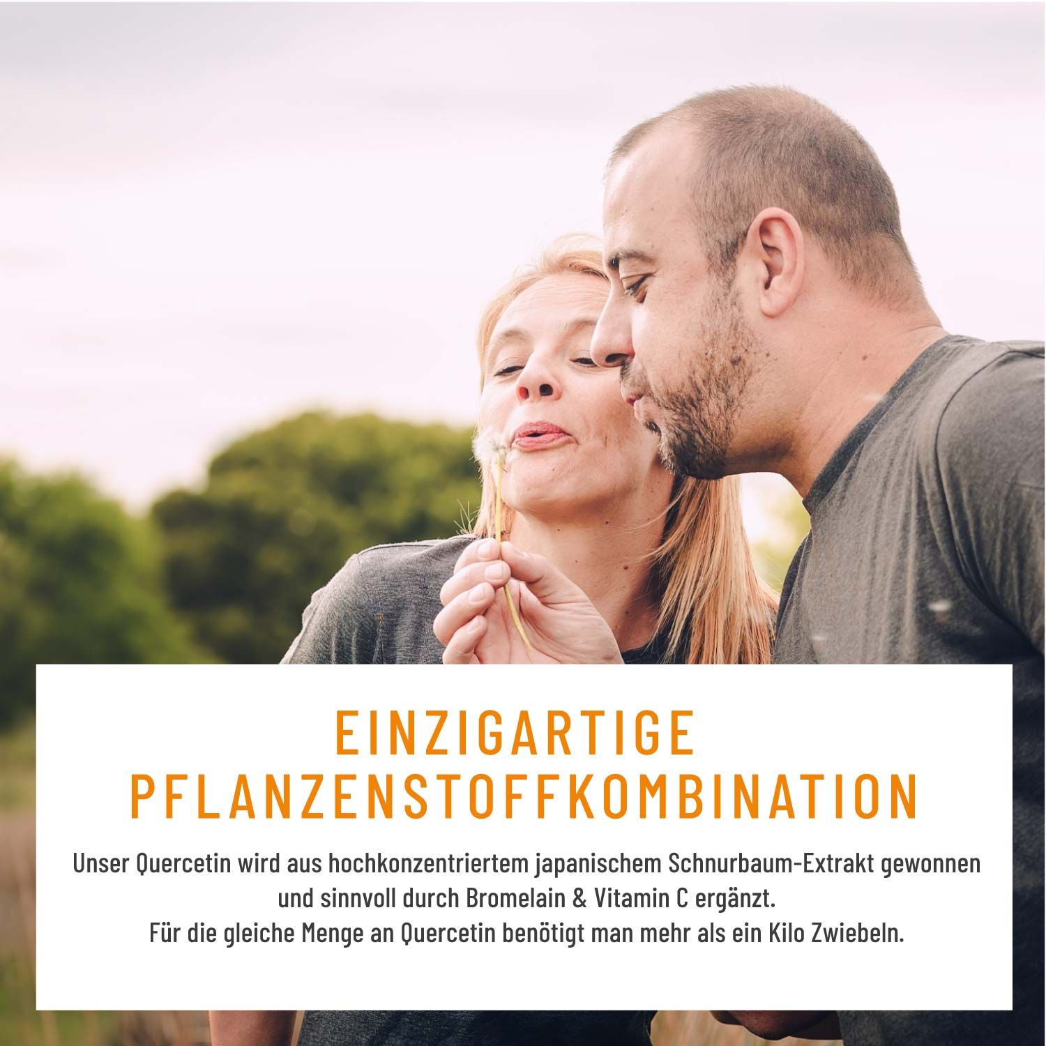 Quercetin Komplex mit Bromelain & Vitamin C hochdosiert - Vegan - Blütezeit - NATURTREU®