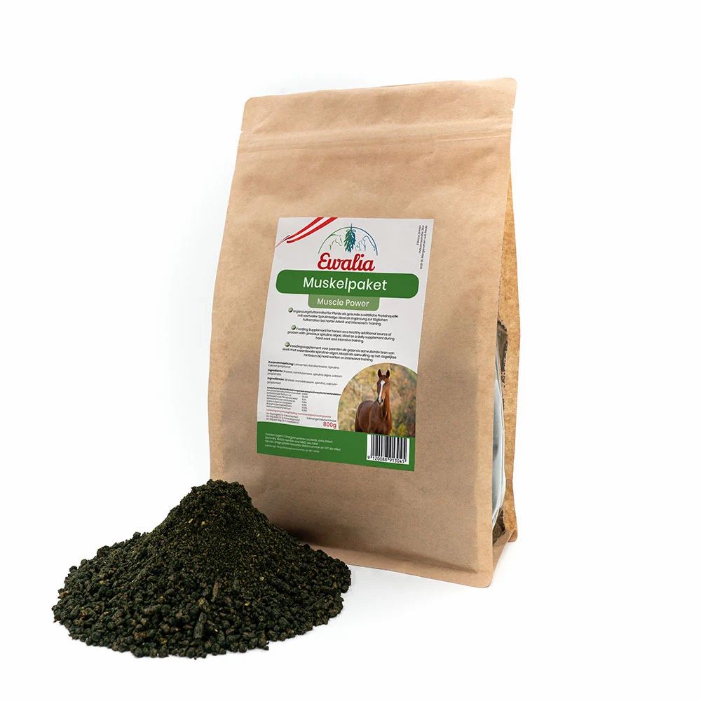 Ewalia Muskelpaket