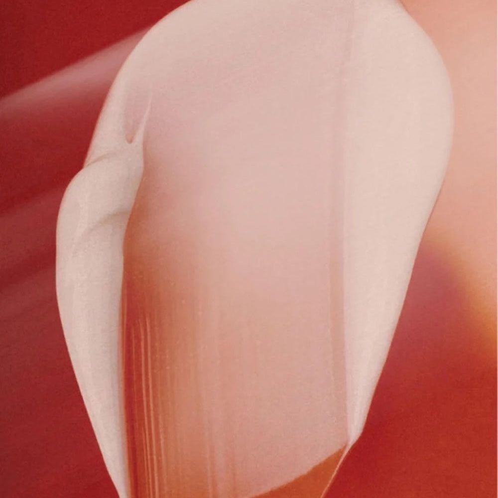 Zero Skin Reichhaltige Tagespflege mit Alteromonas Ferment, glättend und hydratisierend