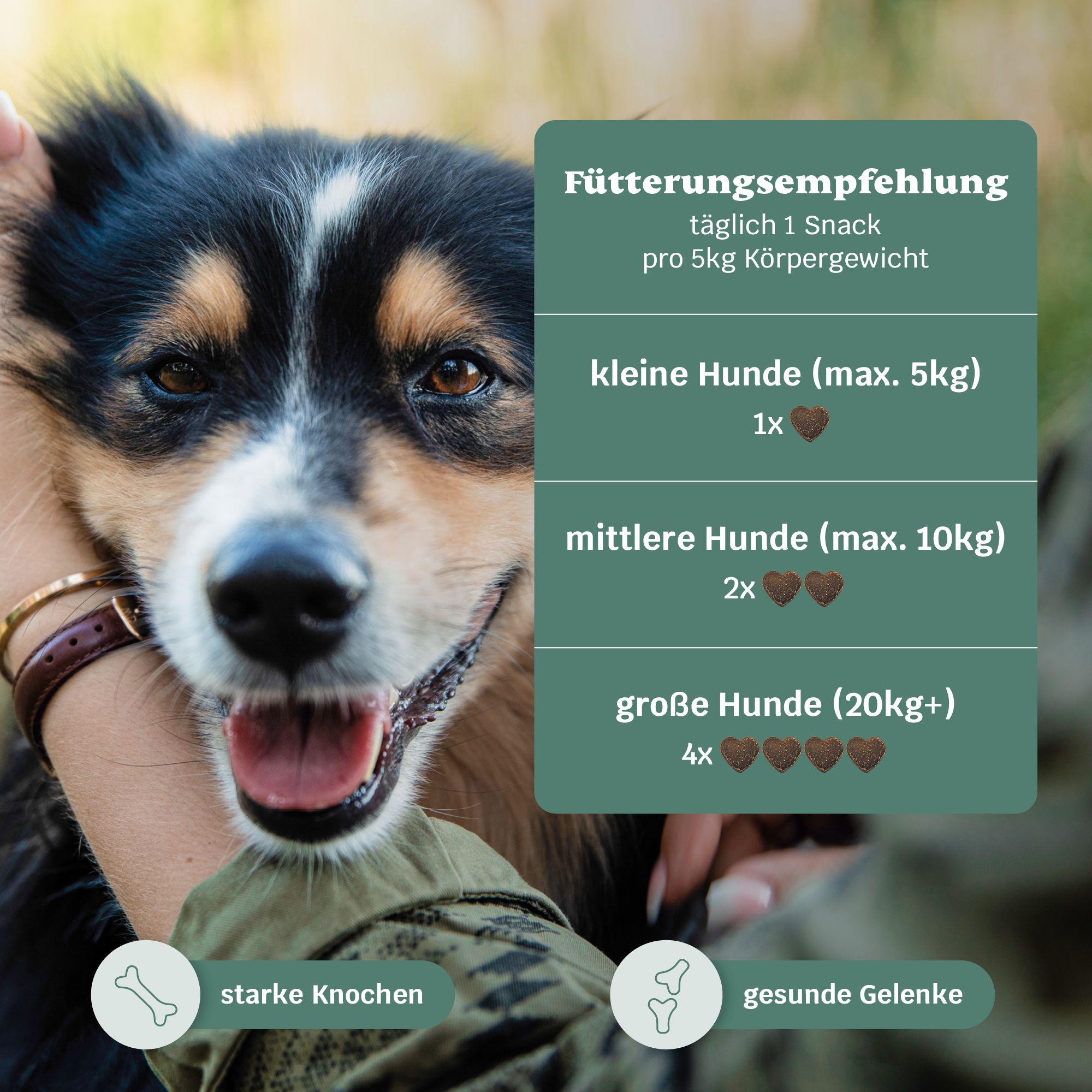 mammaly Happy Hips Gelenk Snacks für Hunde mit Grünlippmuschel Hund, beugt Arthrose vor